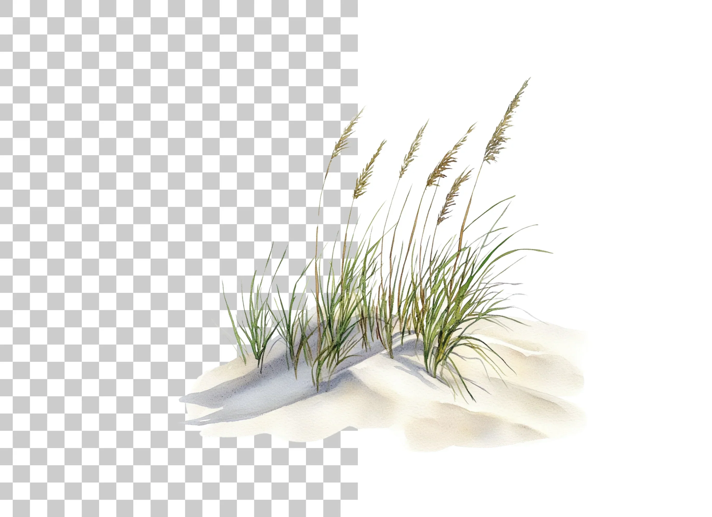 Beach Dune Grass Sand Clipart Bundle - Image 2
