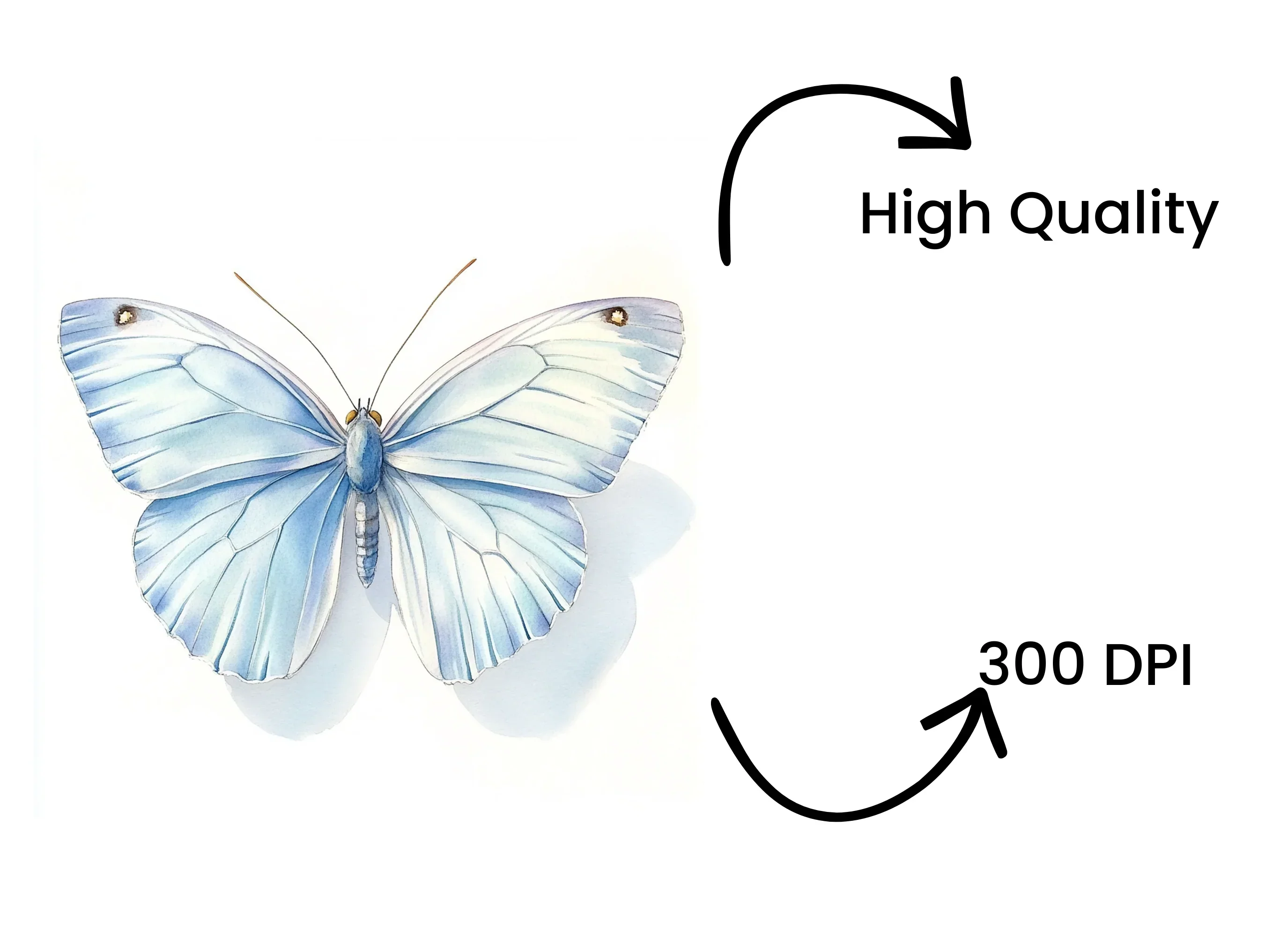 Beautiful Blue Butterfly Clipart Bundle - Image 4
