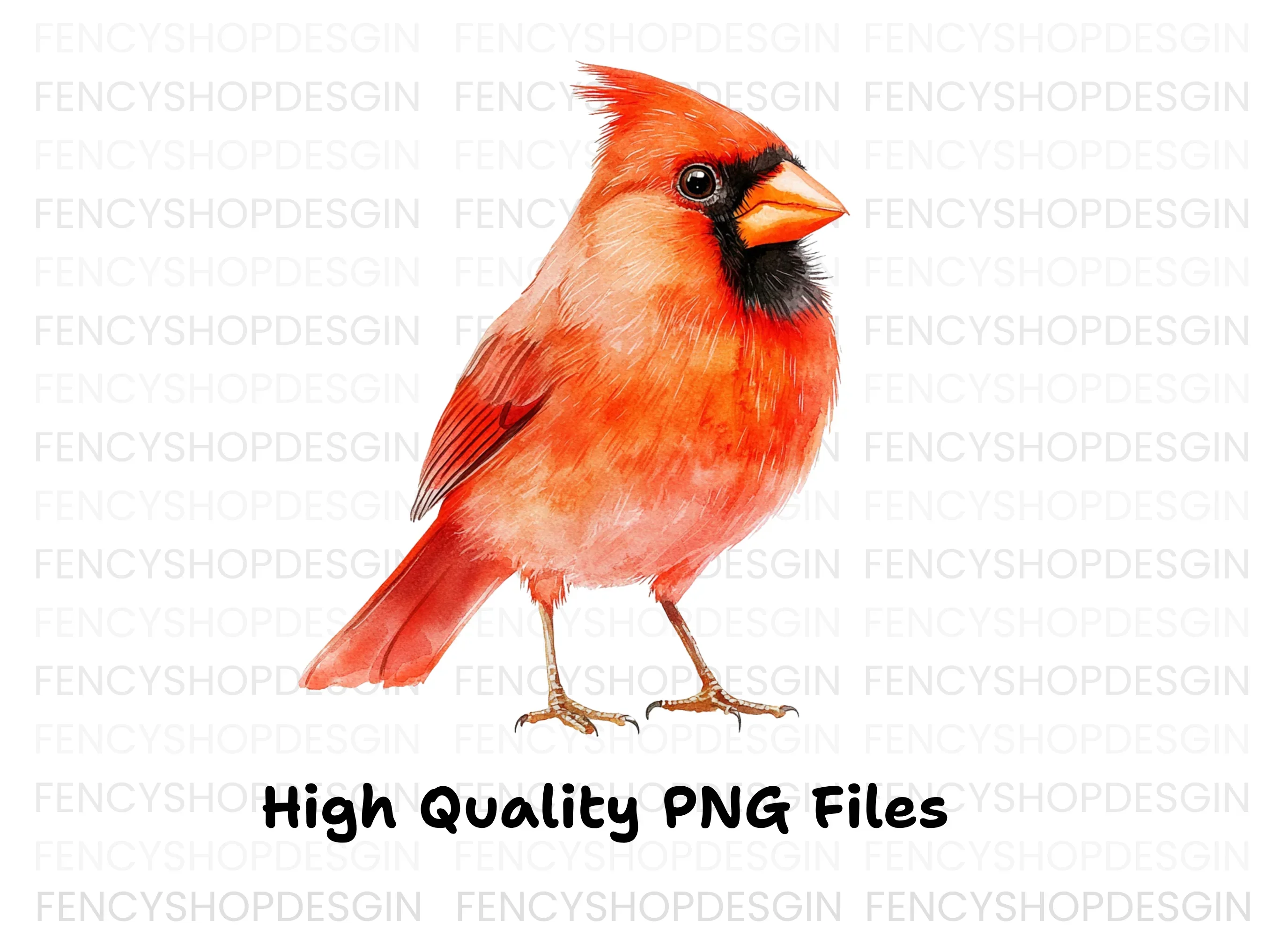 Beautiful Cardinal Bird Clipart Bundle - Image 2