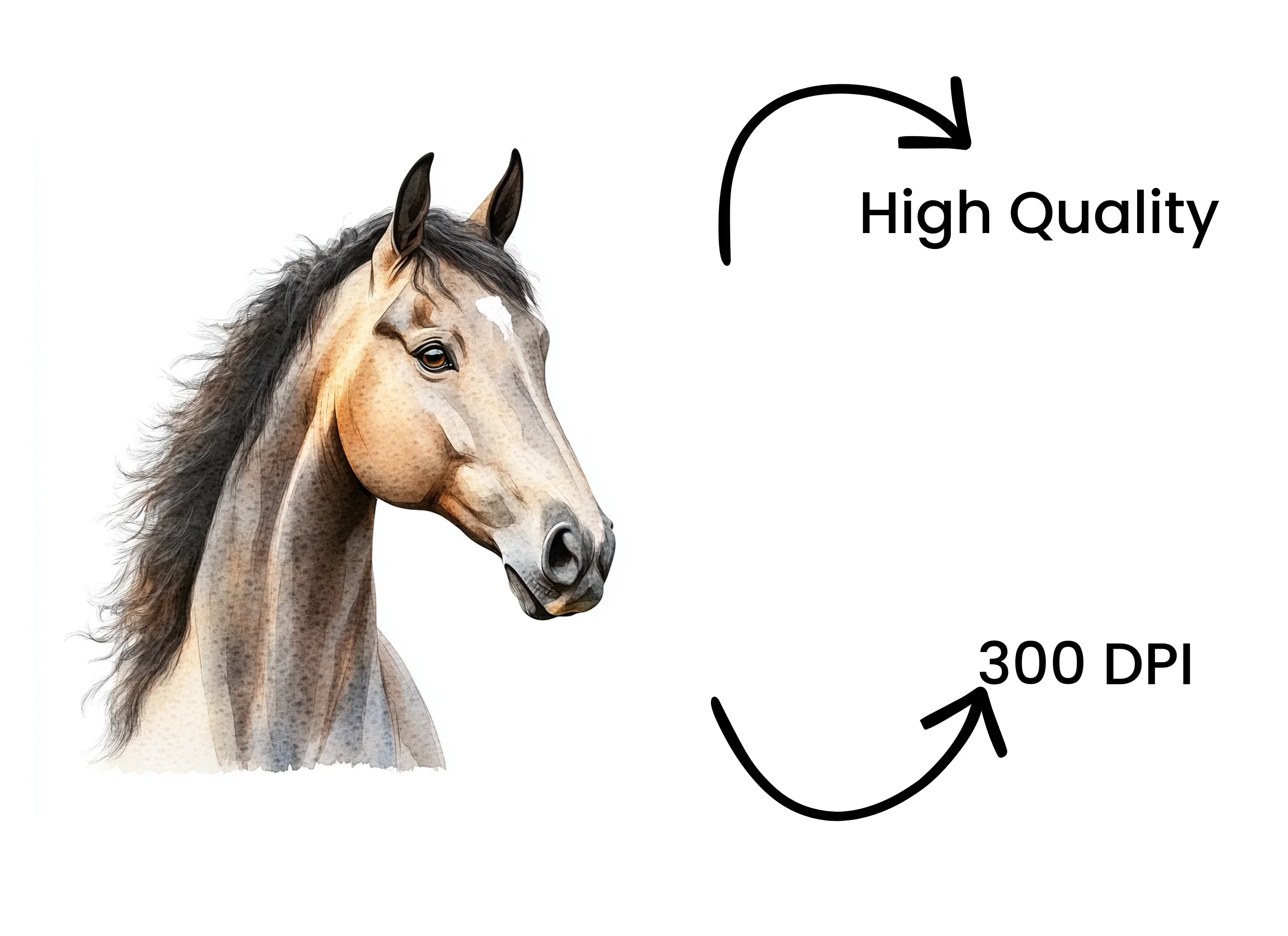 Beautiful Horse Head Clipart Bundle - Image 4