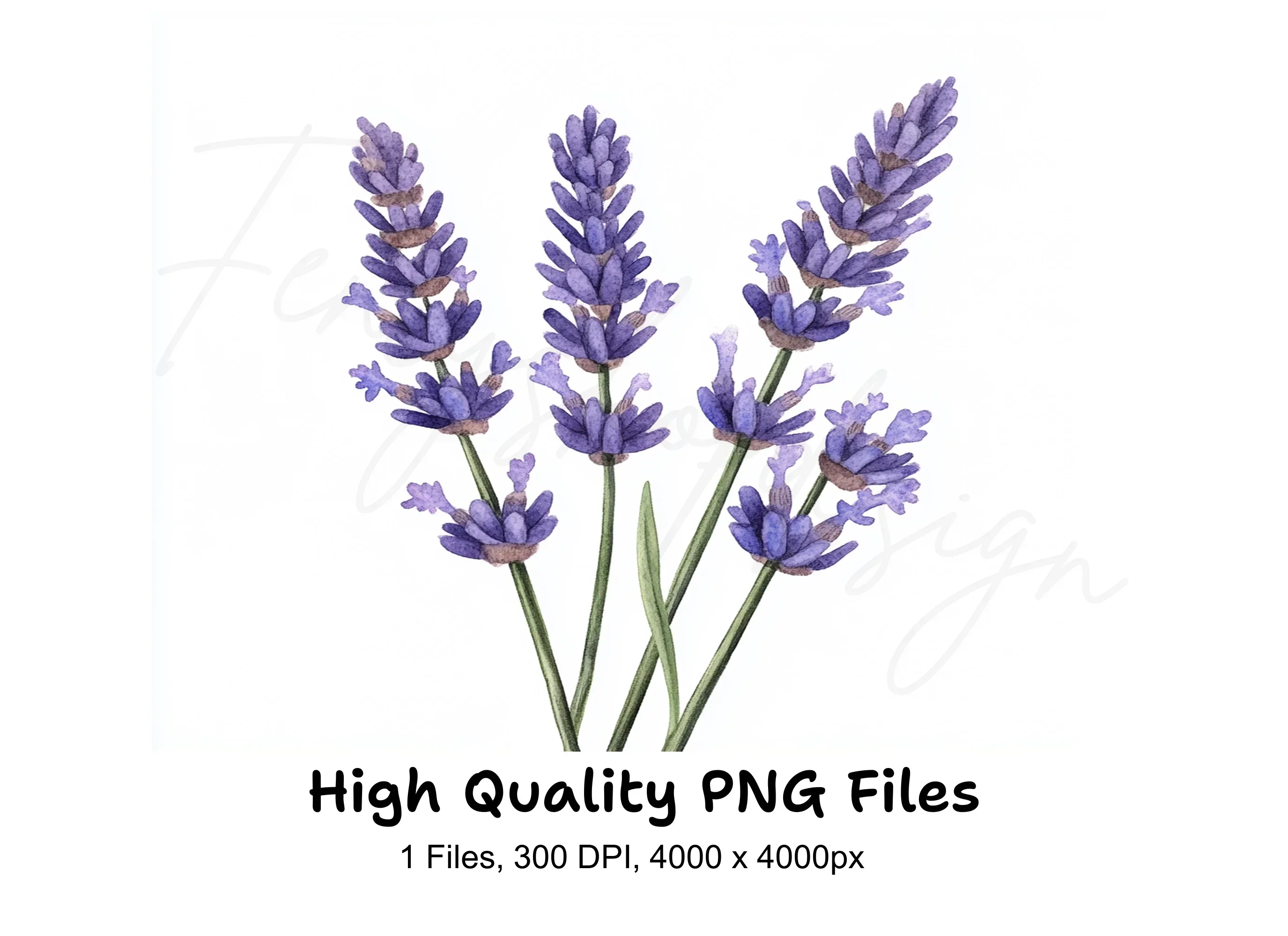 Beautiful Lavender Sprigs Clipart Bundle