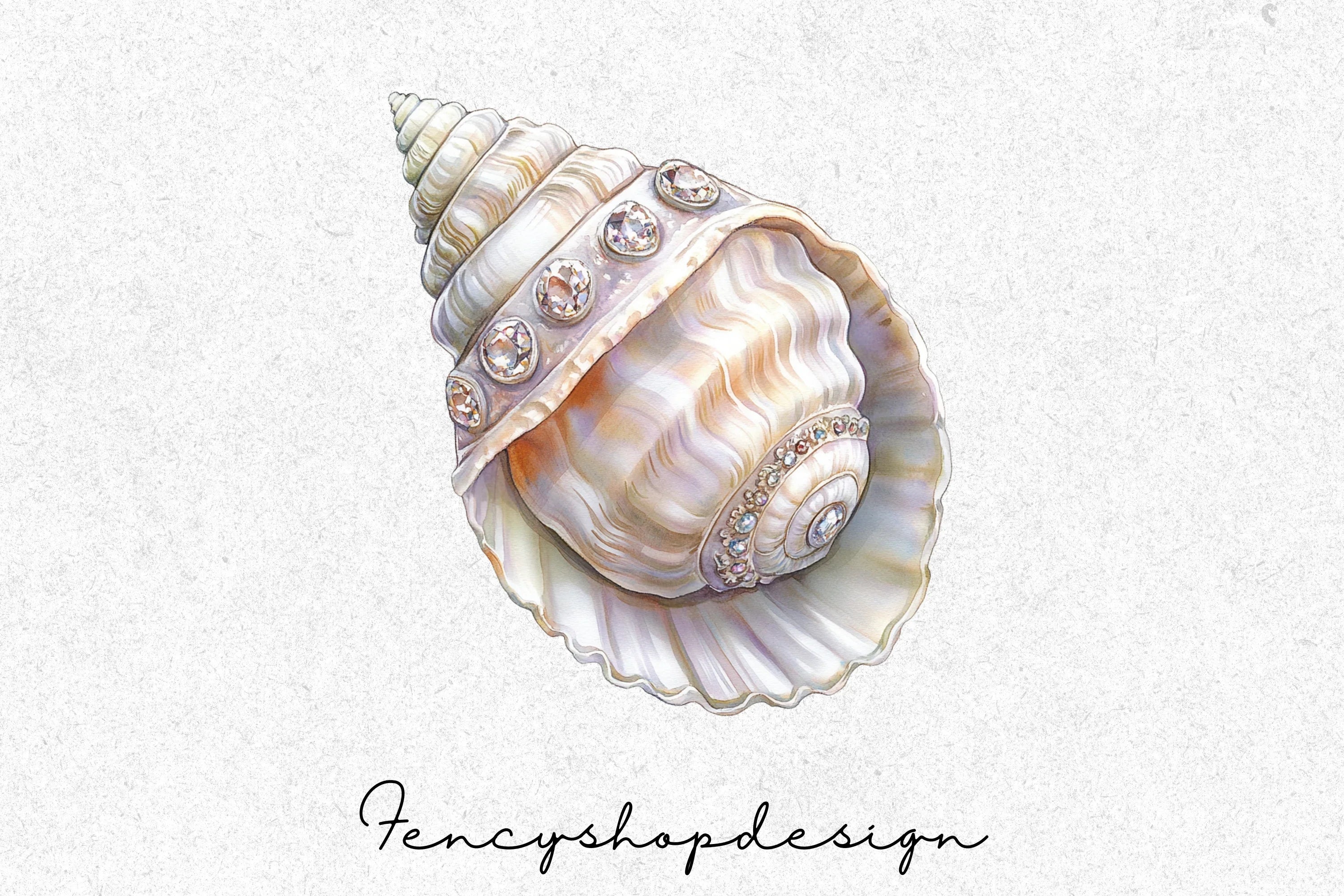 Beautiful Seashells Clipart Bundle - Image 6