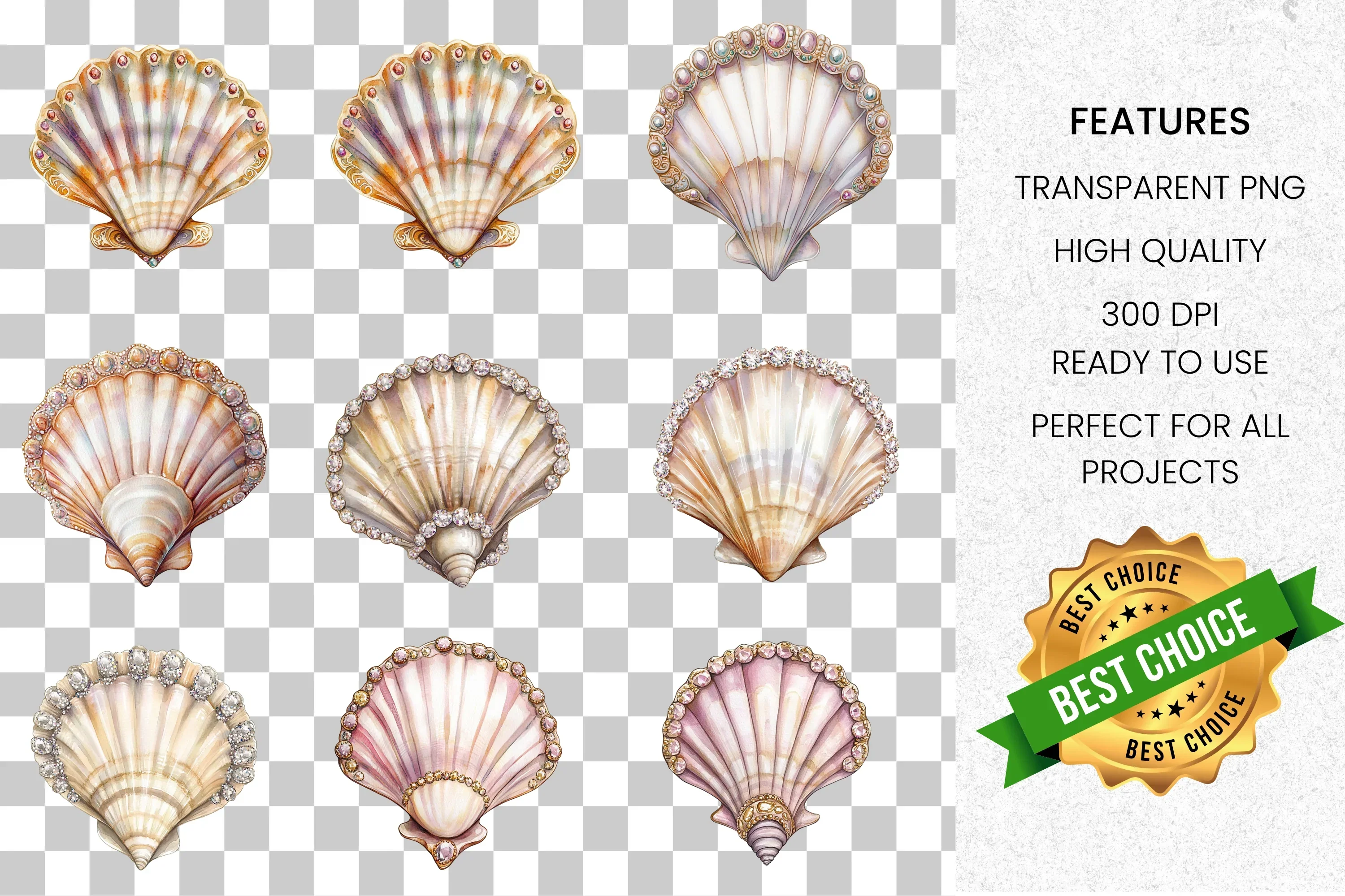 Beautiful Seashells Clipart Bundle - Image 8