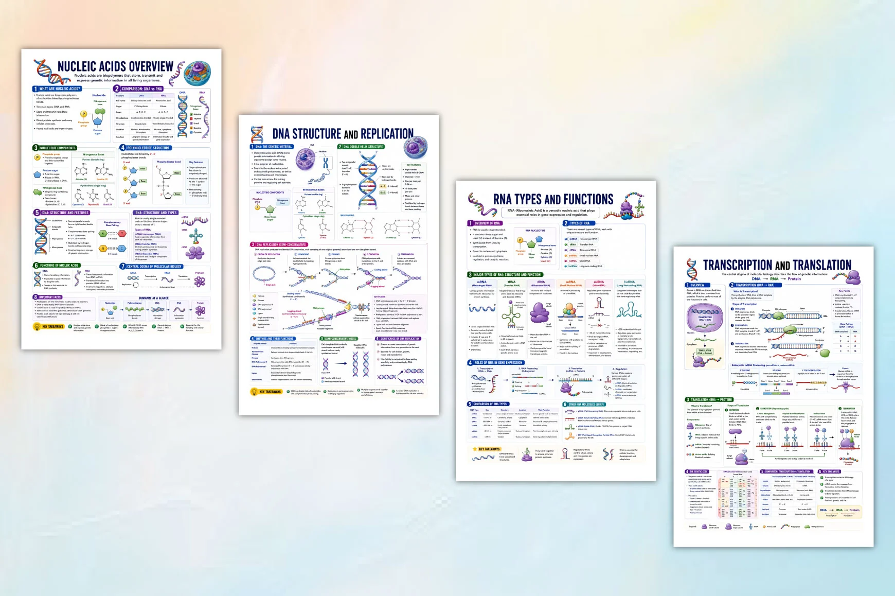 Biochemistry Study Notes Review Guide - Image 3
