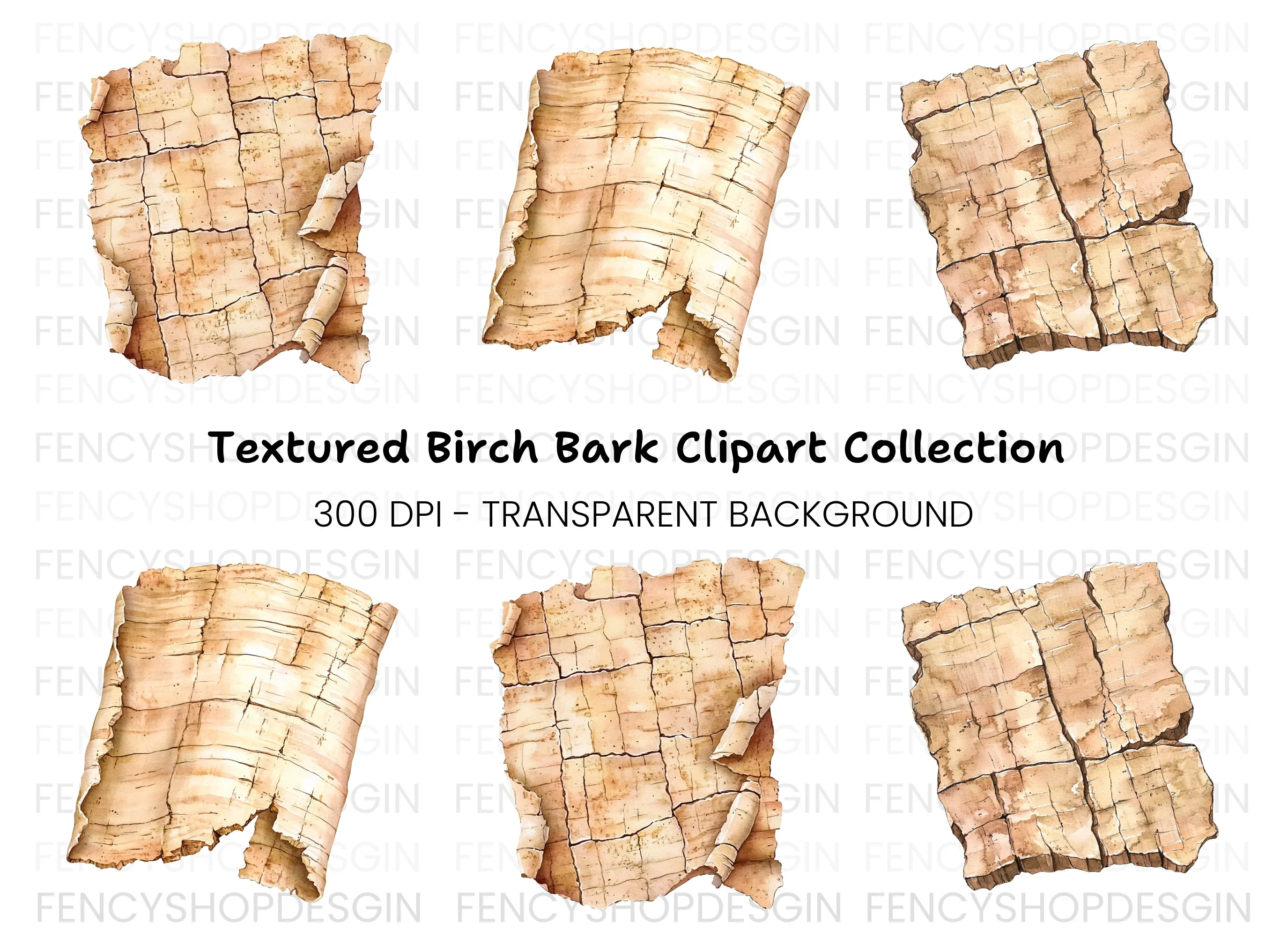 Birch Bark Clipart Bundle