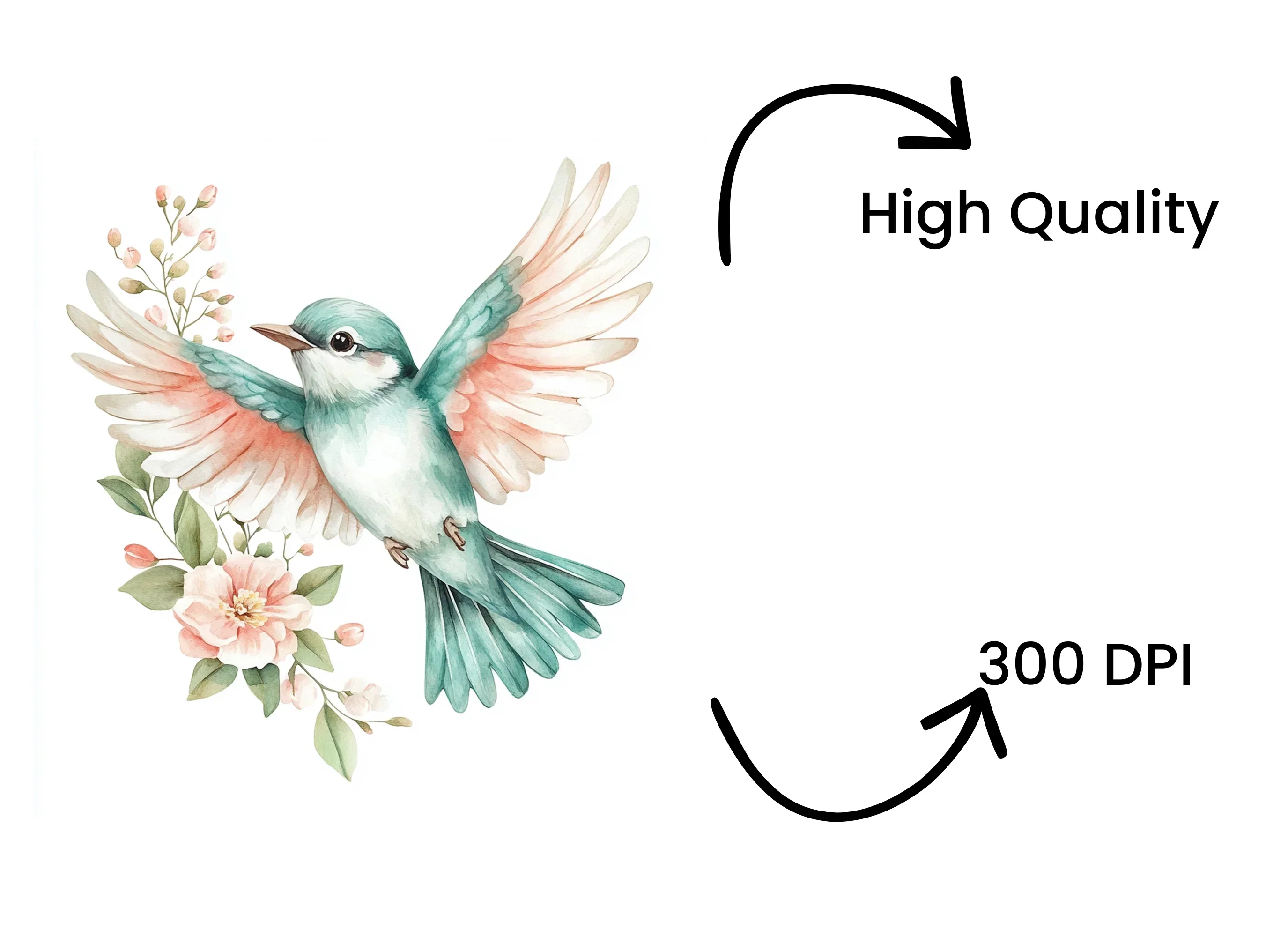 Birds and Floral Clipart Bundle - Image 4
