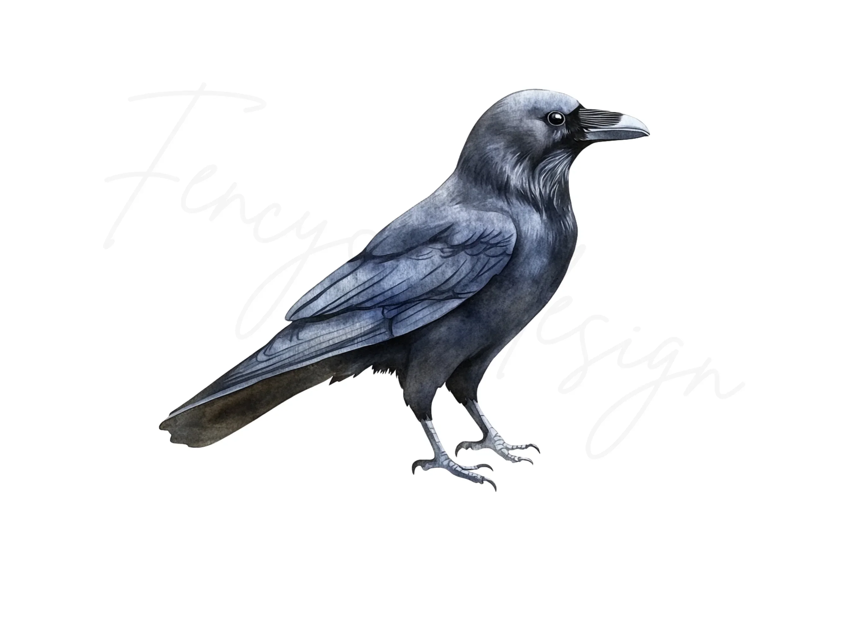 Black Crow Bird Clipart Bundle - Image 2