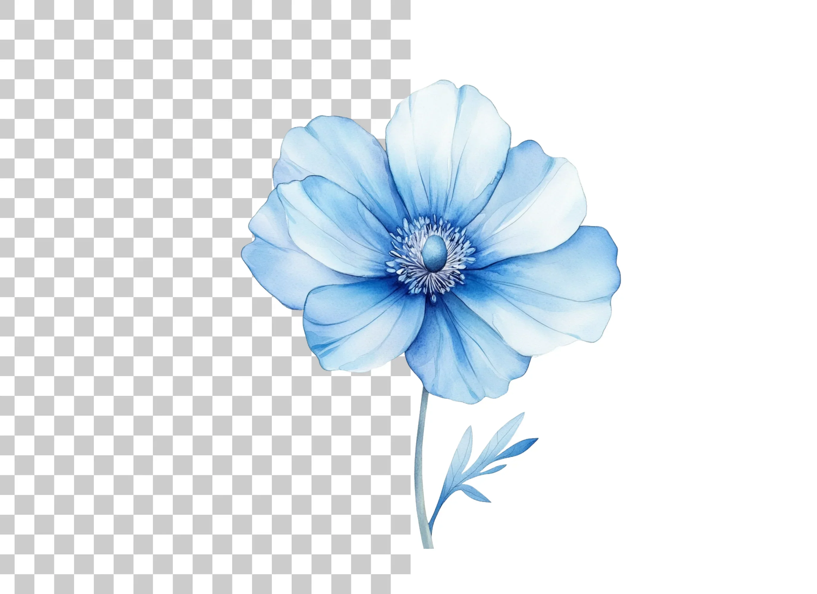 Blue Anemone Flower Clipart Bundle - Image 2