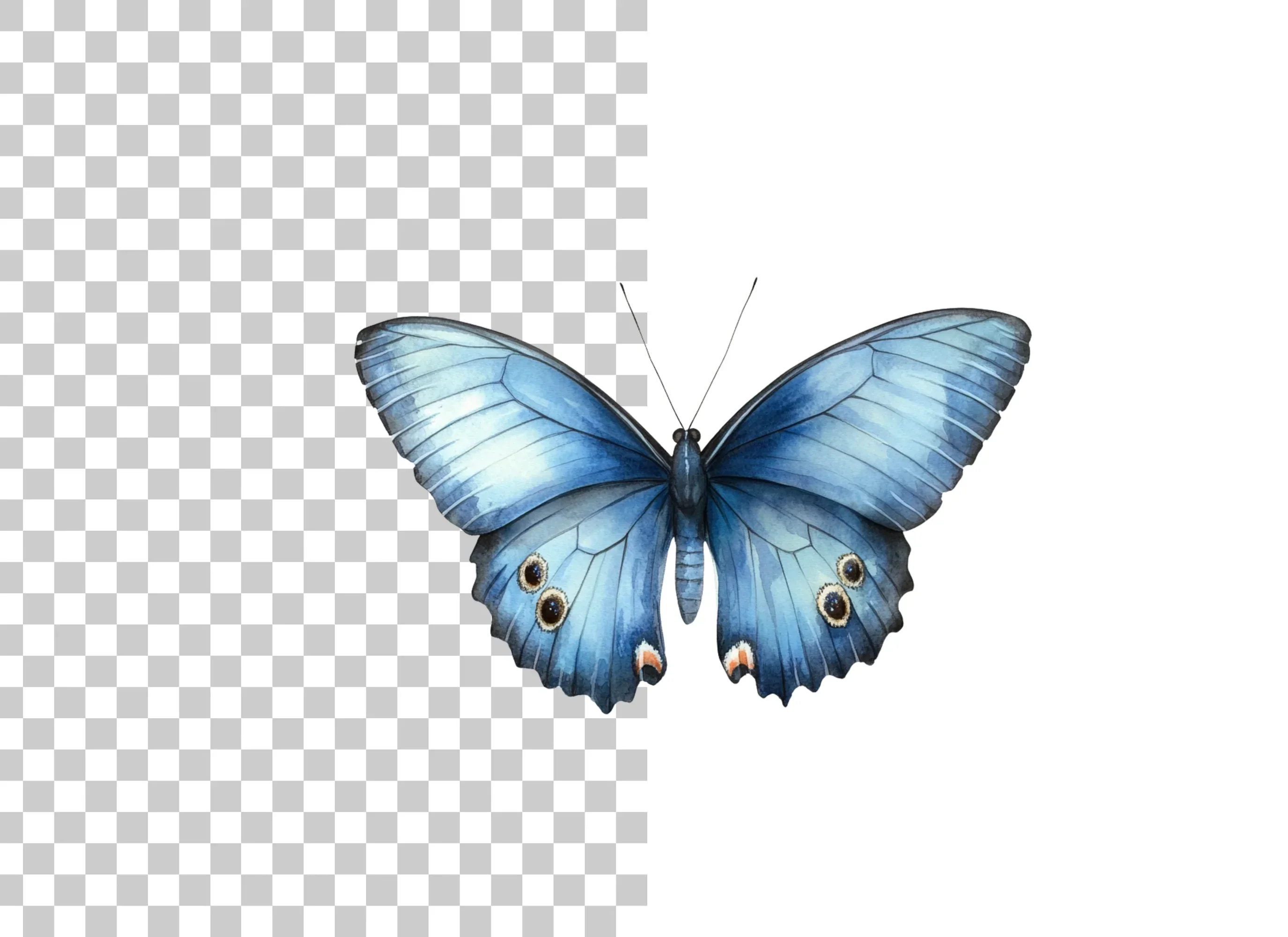Blue Butterfly Clipart Bundle - Image 6