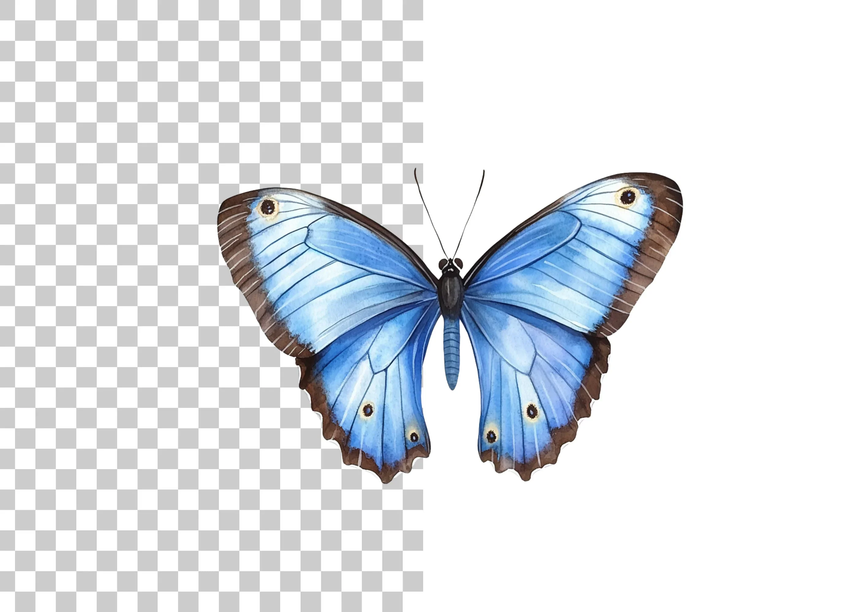 Blue Butterfly Clipart Bundle - Image 2