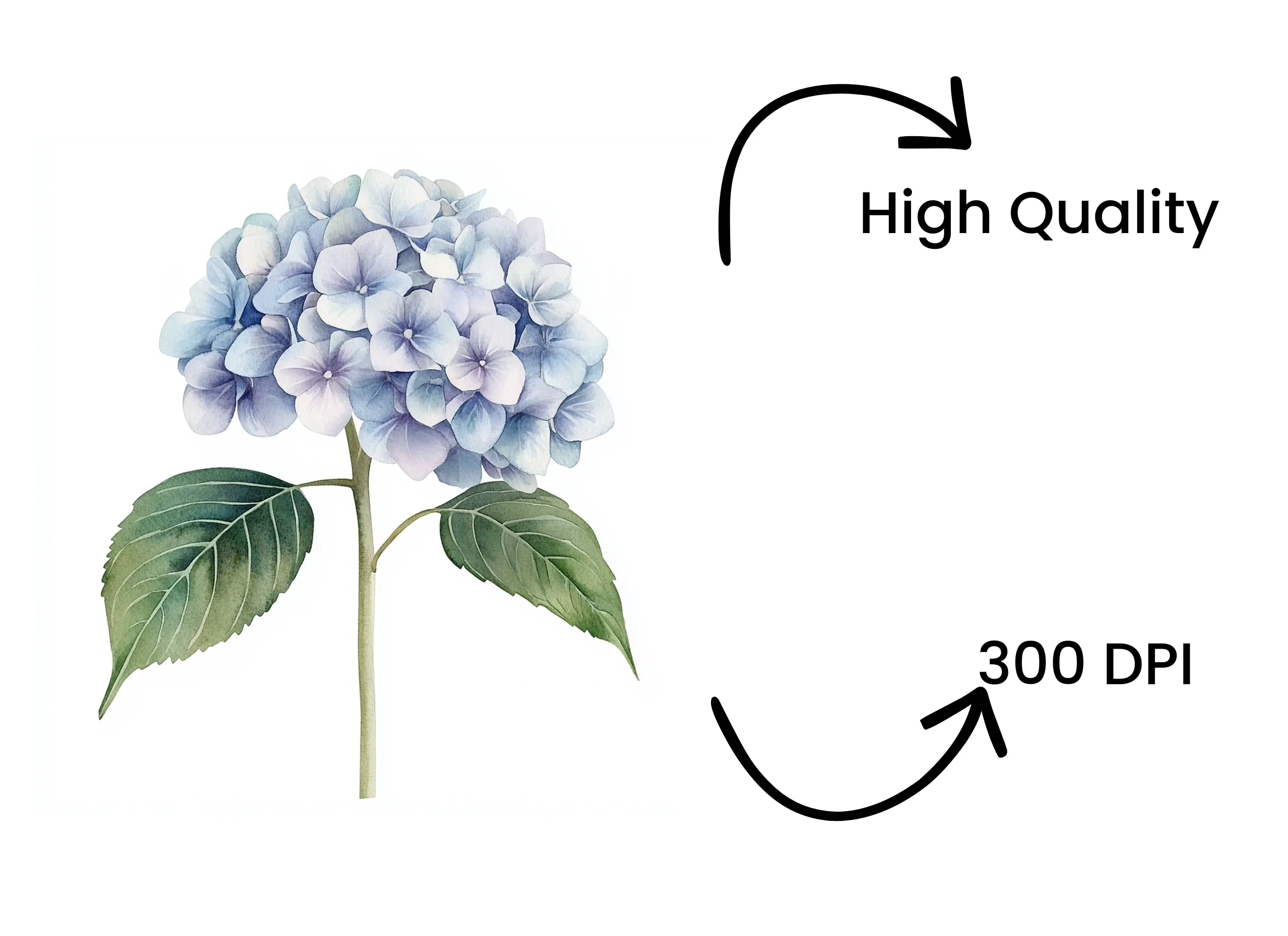 Blue Hydrangea Clipart Bundle - Image 4