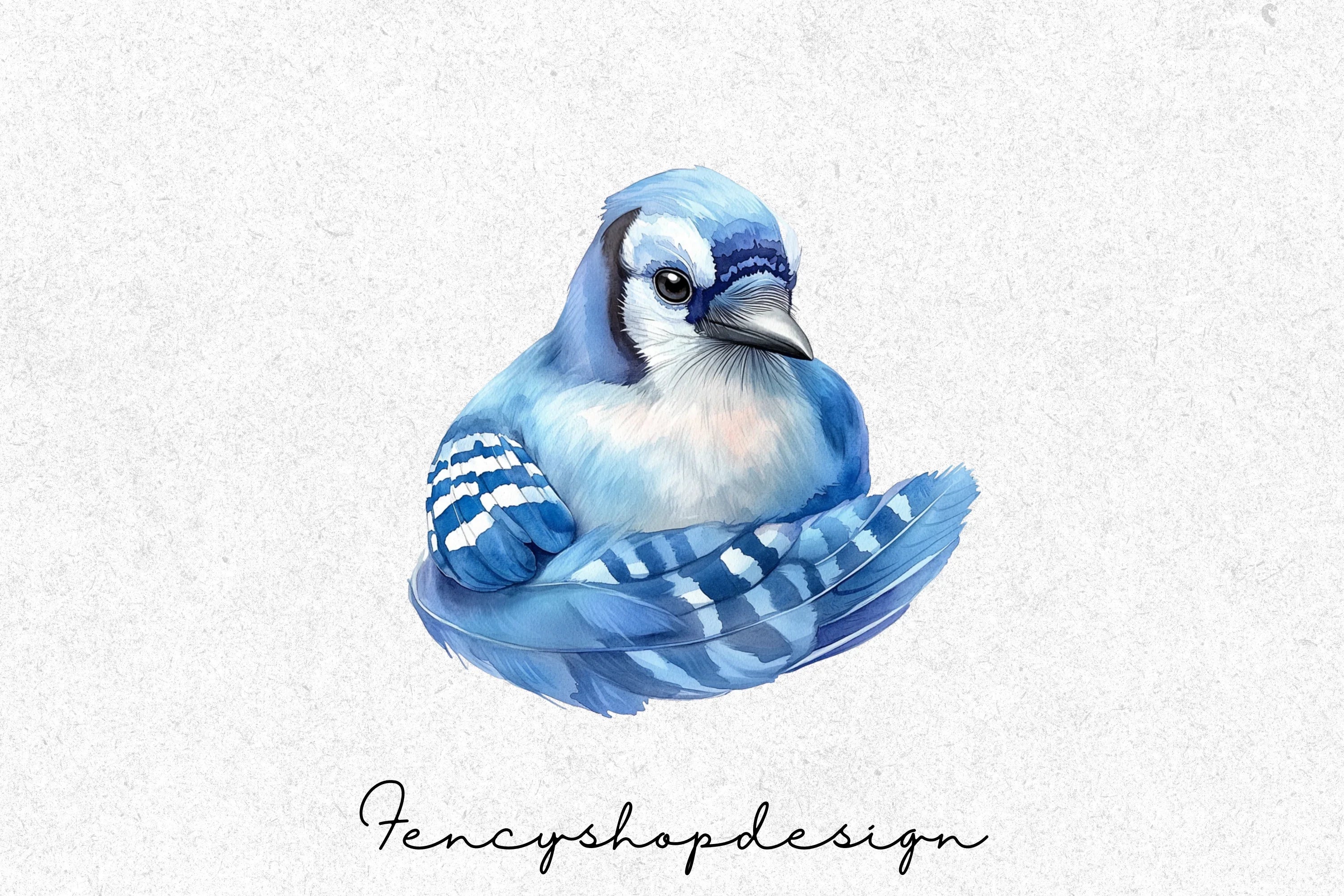 Blue Jay Bird Clipart Bundle - Image 3