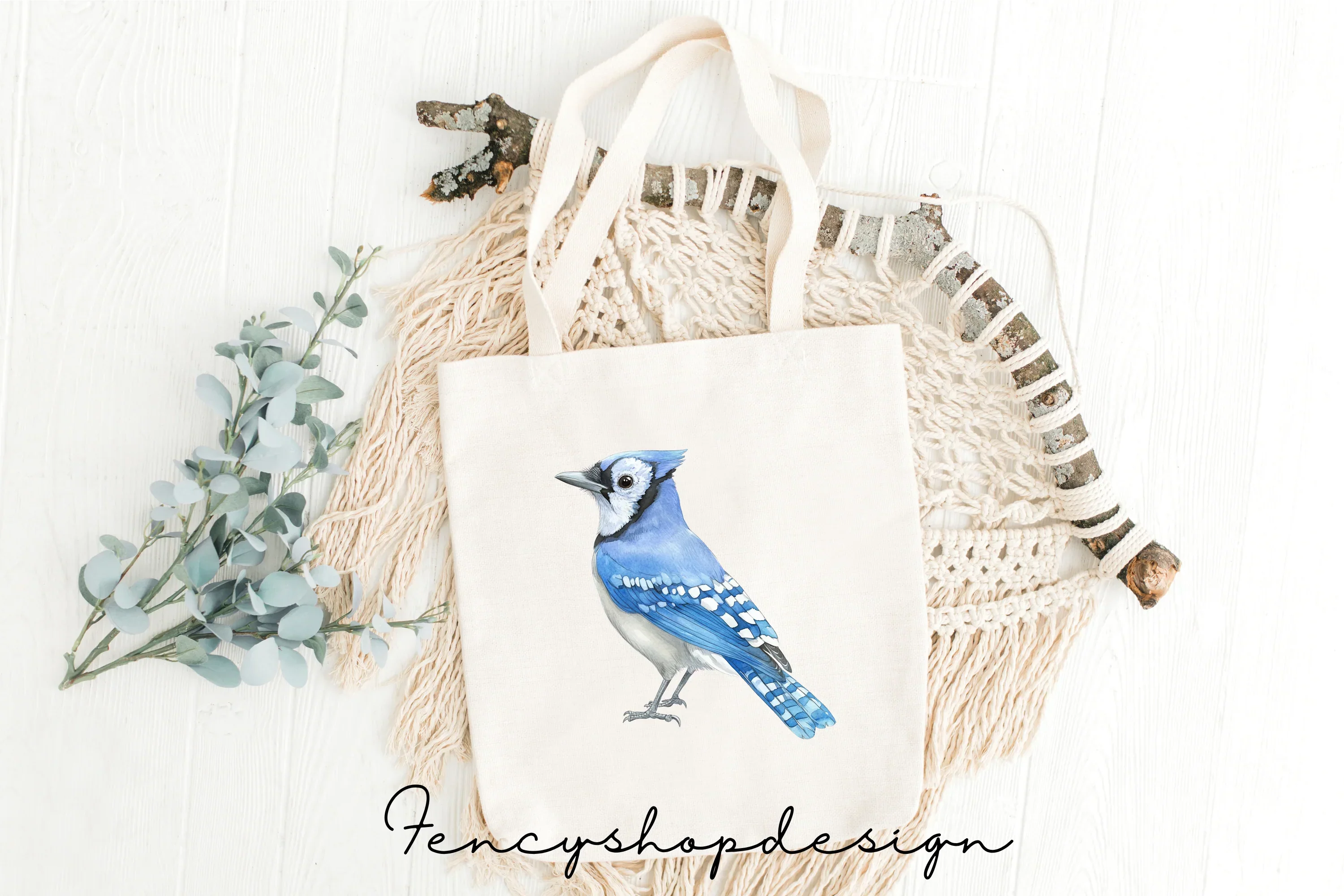 Blue Jay Bird Clipart Bundle - Image 8
