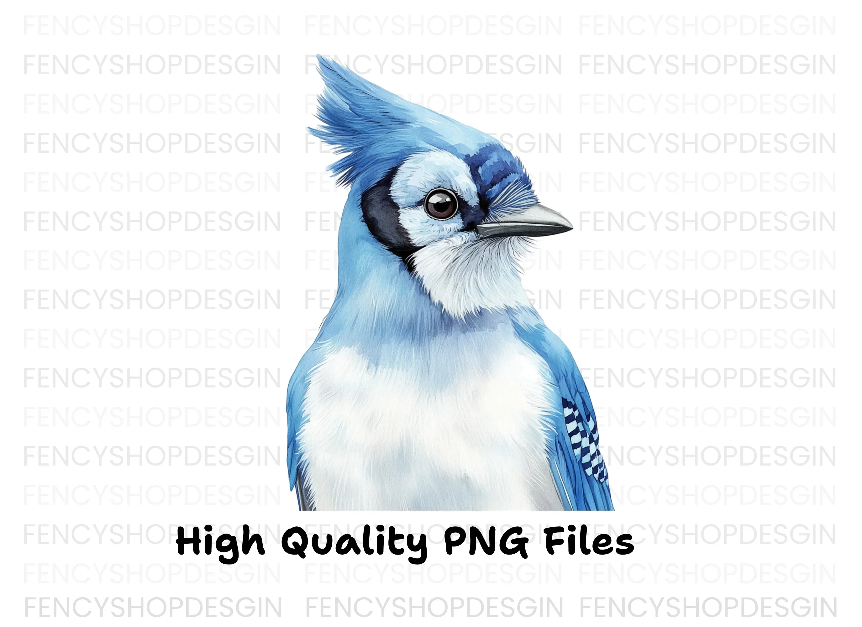 Blue Jay Bird Clipart Bundle - Image 4