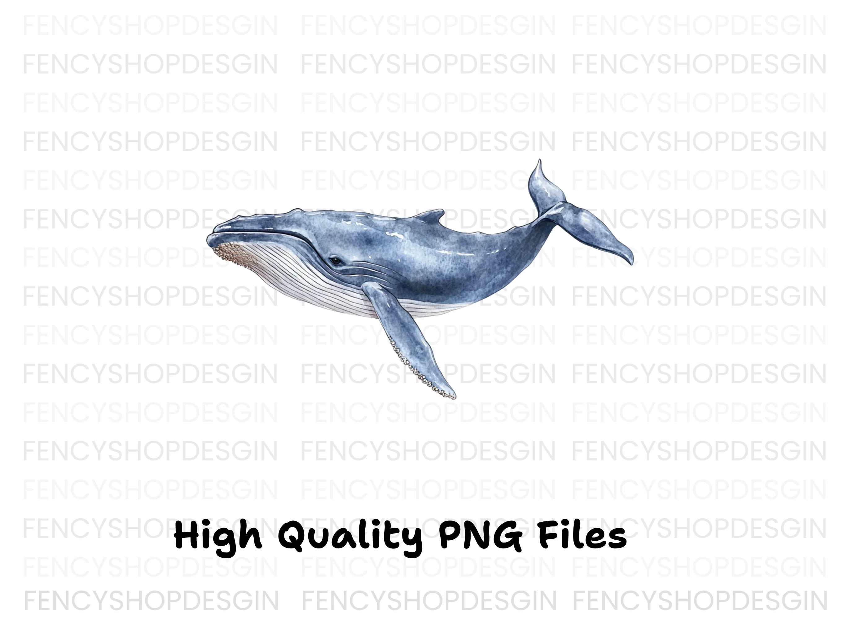 Blue Whale Clipart Bundle - Image 3