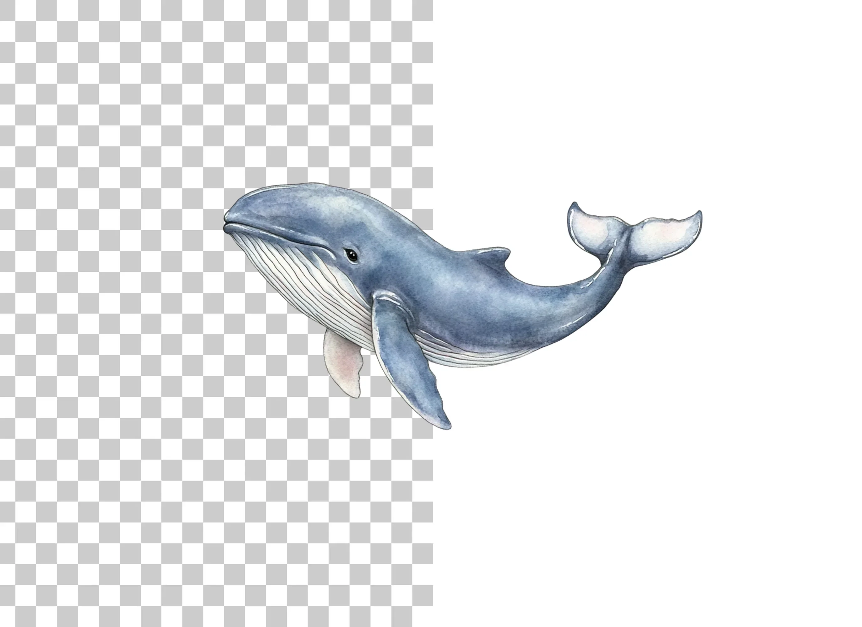 Blue Whale Clipart Bundle - Image 6