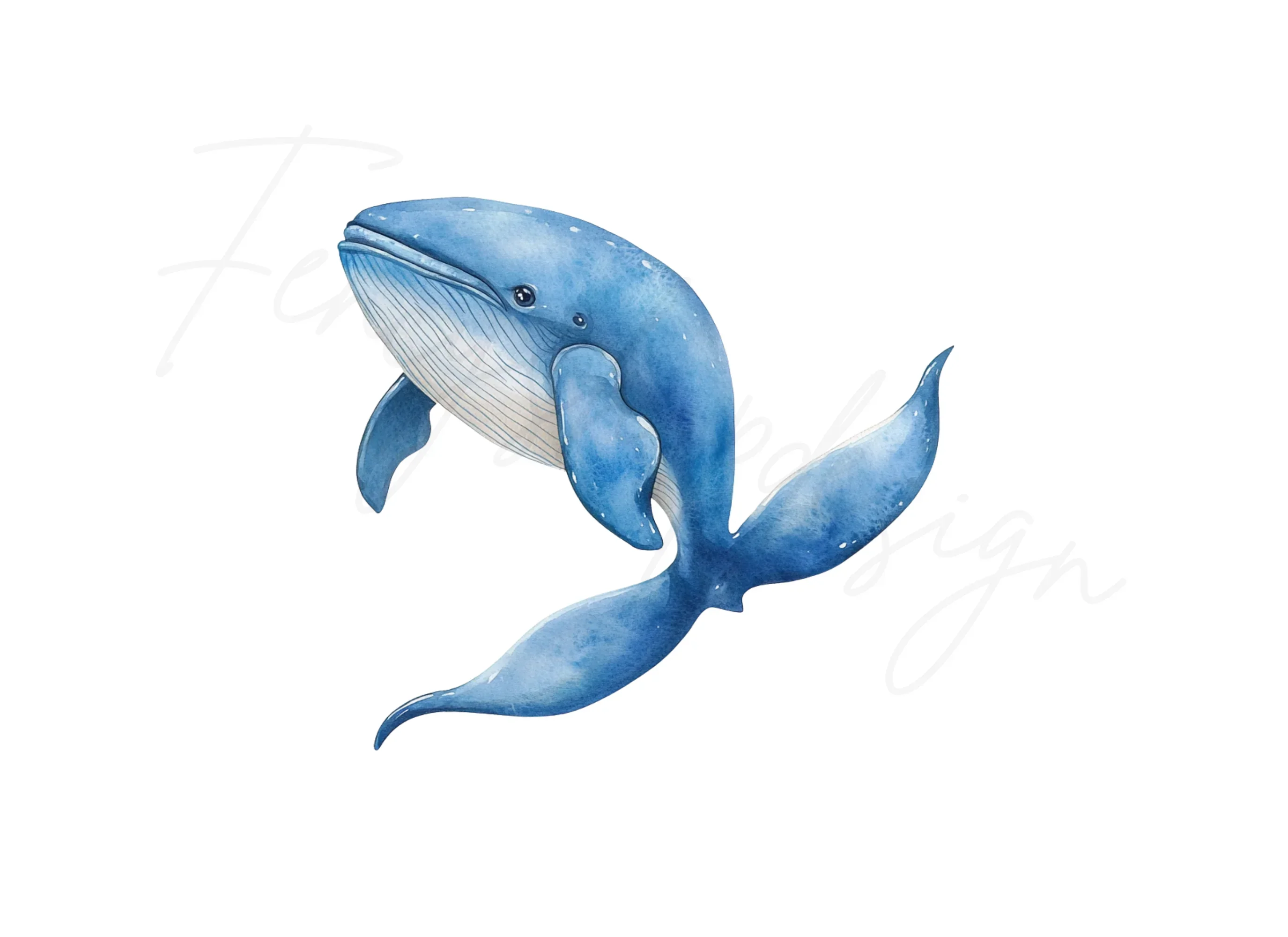 Blue Whale Ocean Clipart Bundle - Image 3