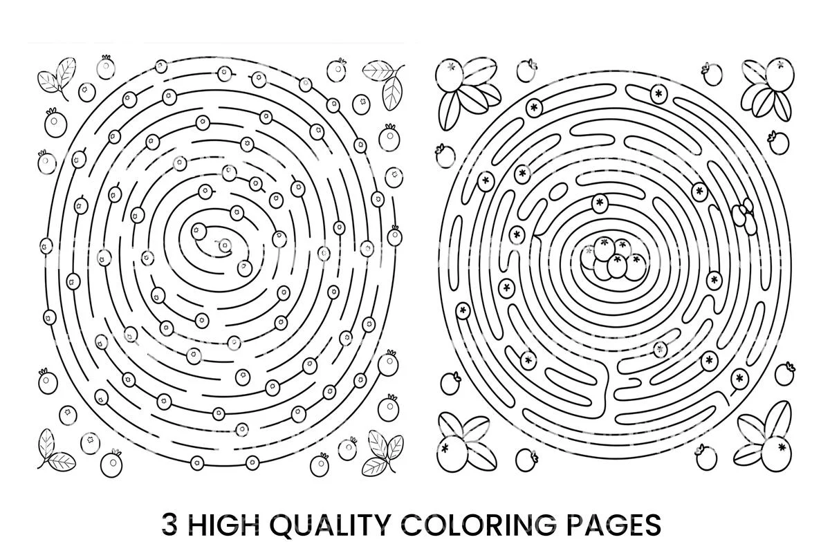 Blueberry Maze Adventure Coloring Books