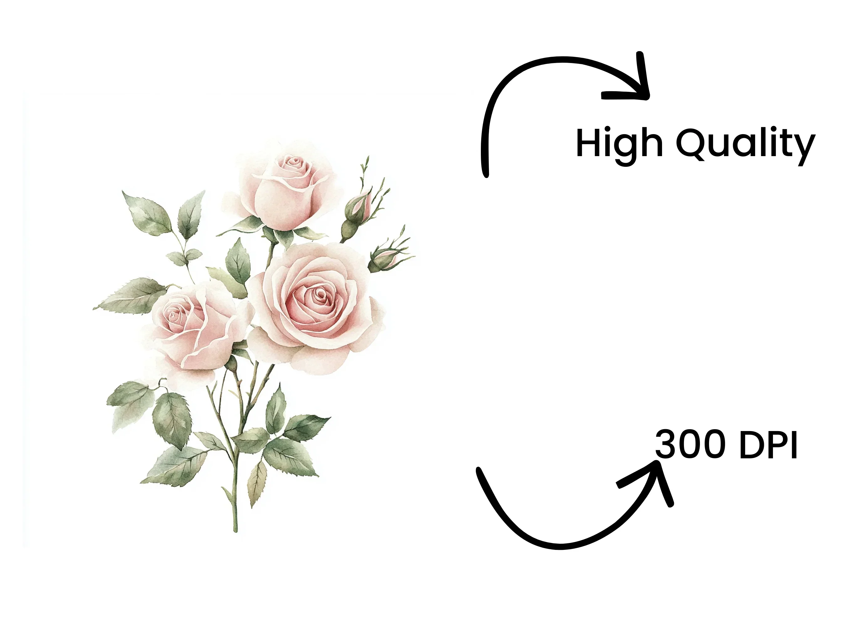 Blush Pink Rose Bouquet Clipart Bundle - Image 4
