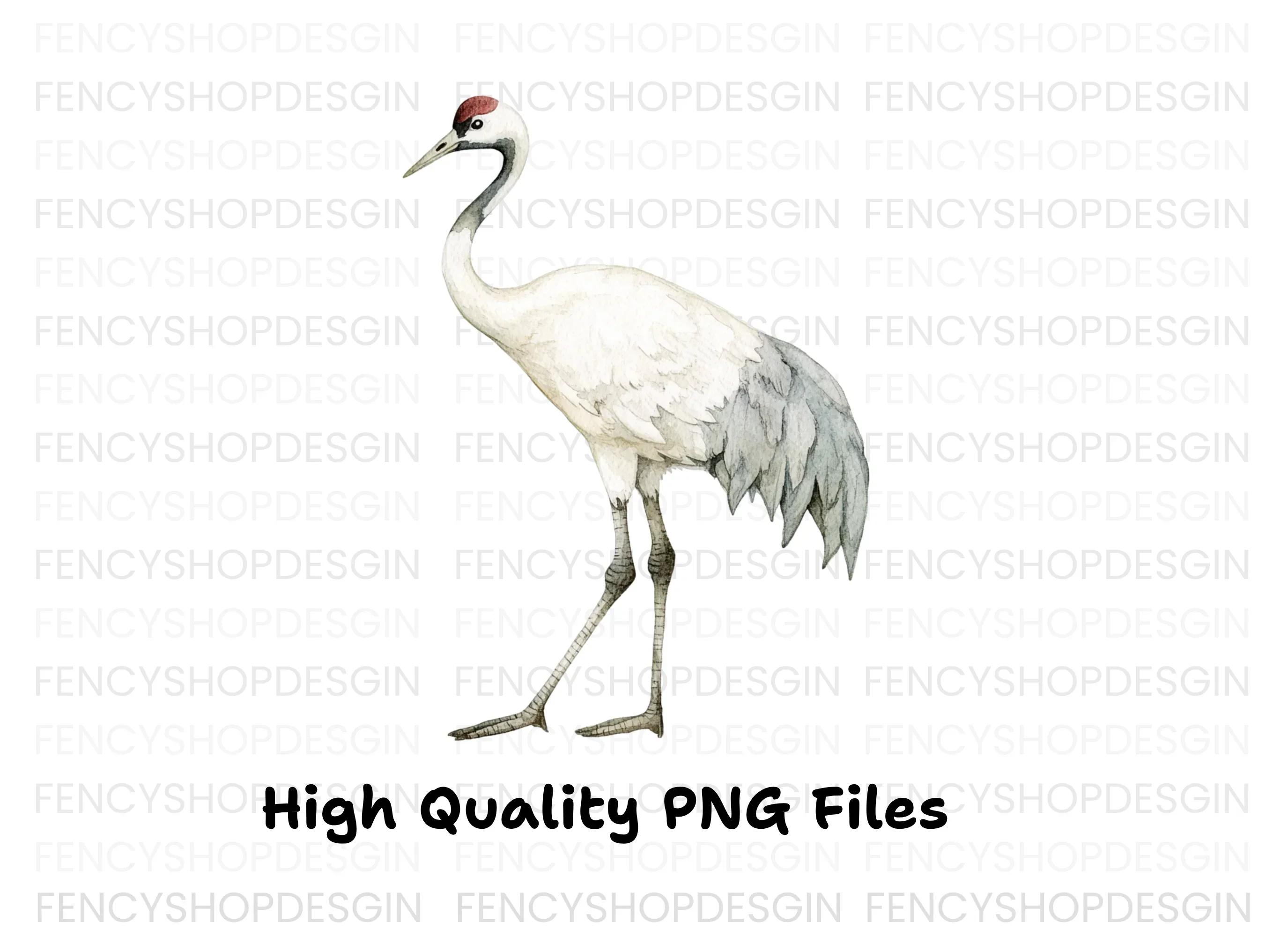 Body Crane Bird Clipart Bundle - Image 2