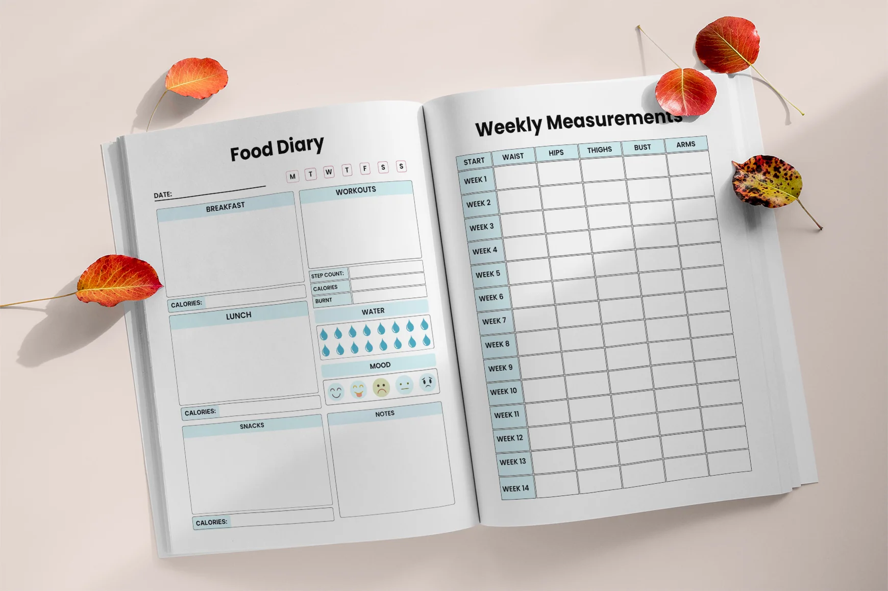 Body Transformation Workbook - Image 3