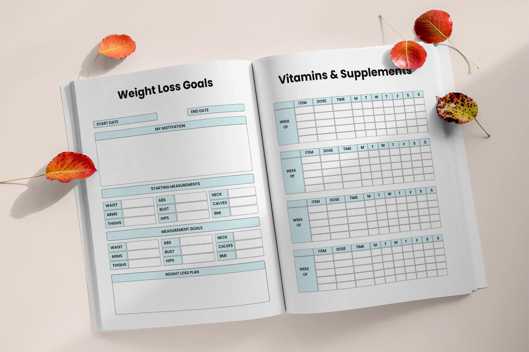Body Transformation Workbook - Image 4