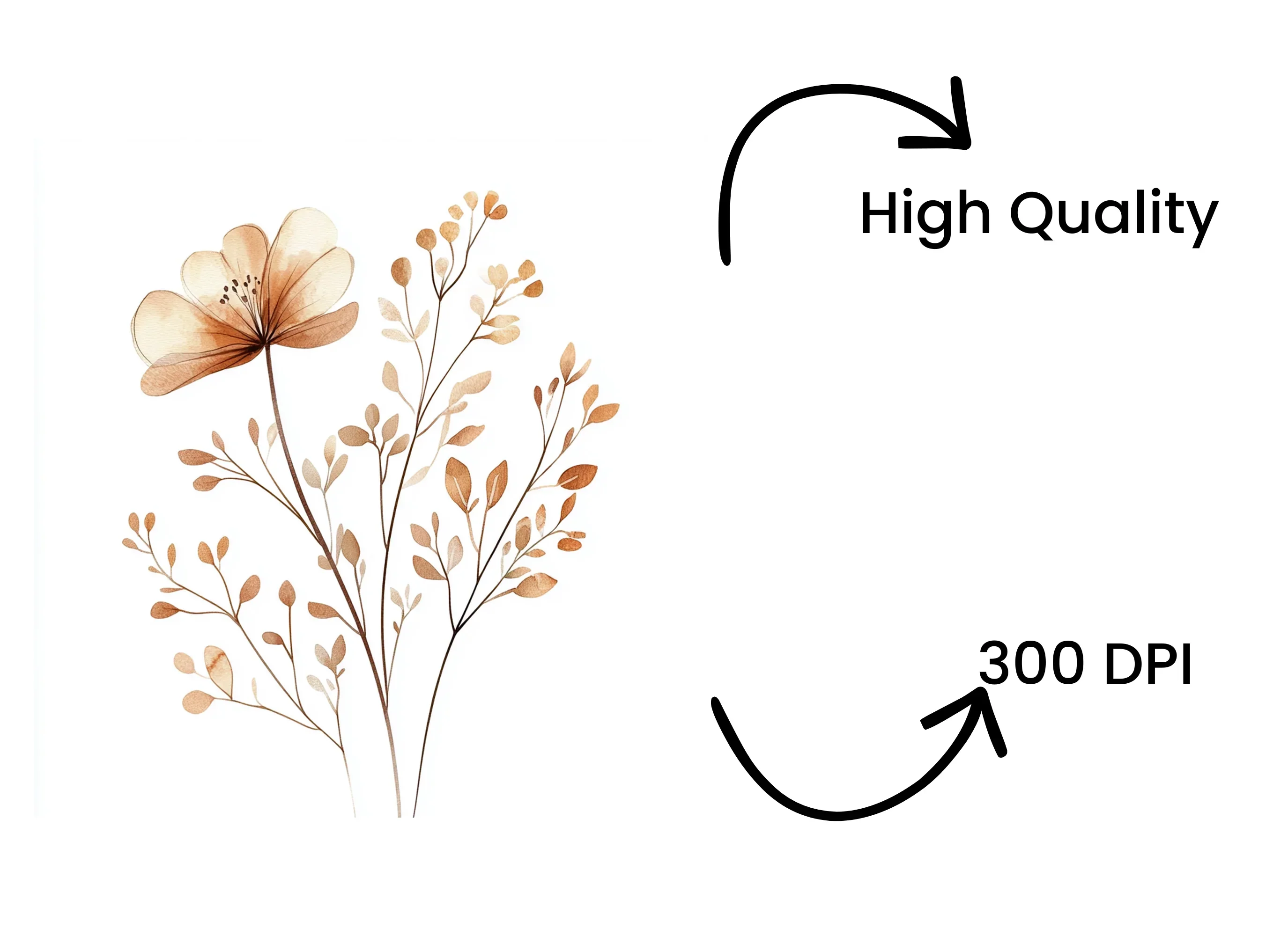 Boho Neutral Floral Clipart Bundle - Image 4
