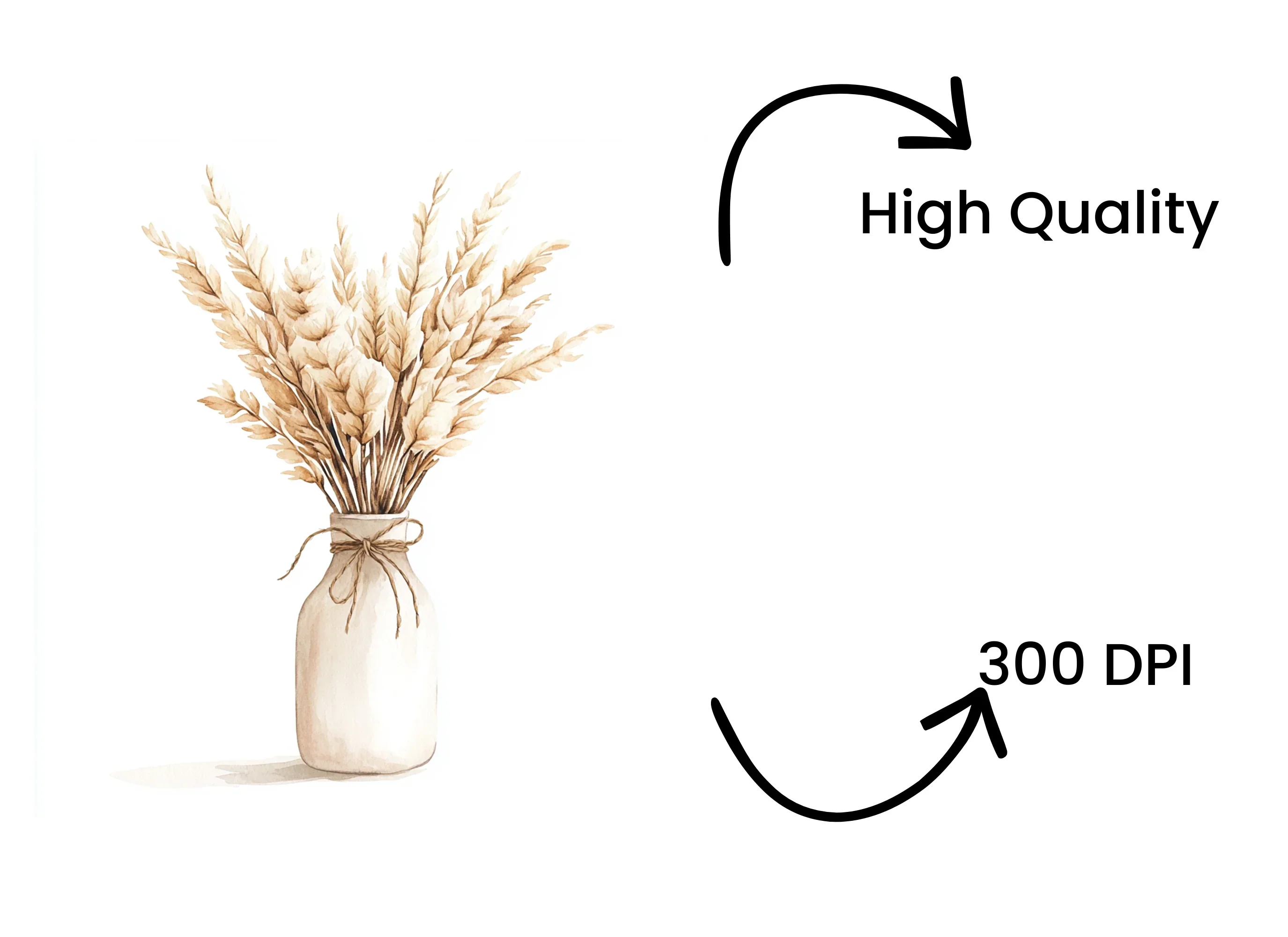 Boho Pampas Grass Clipart Bundle - Image 4