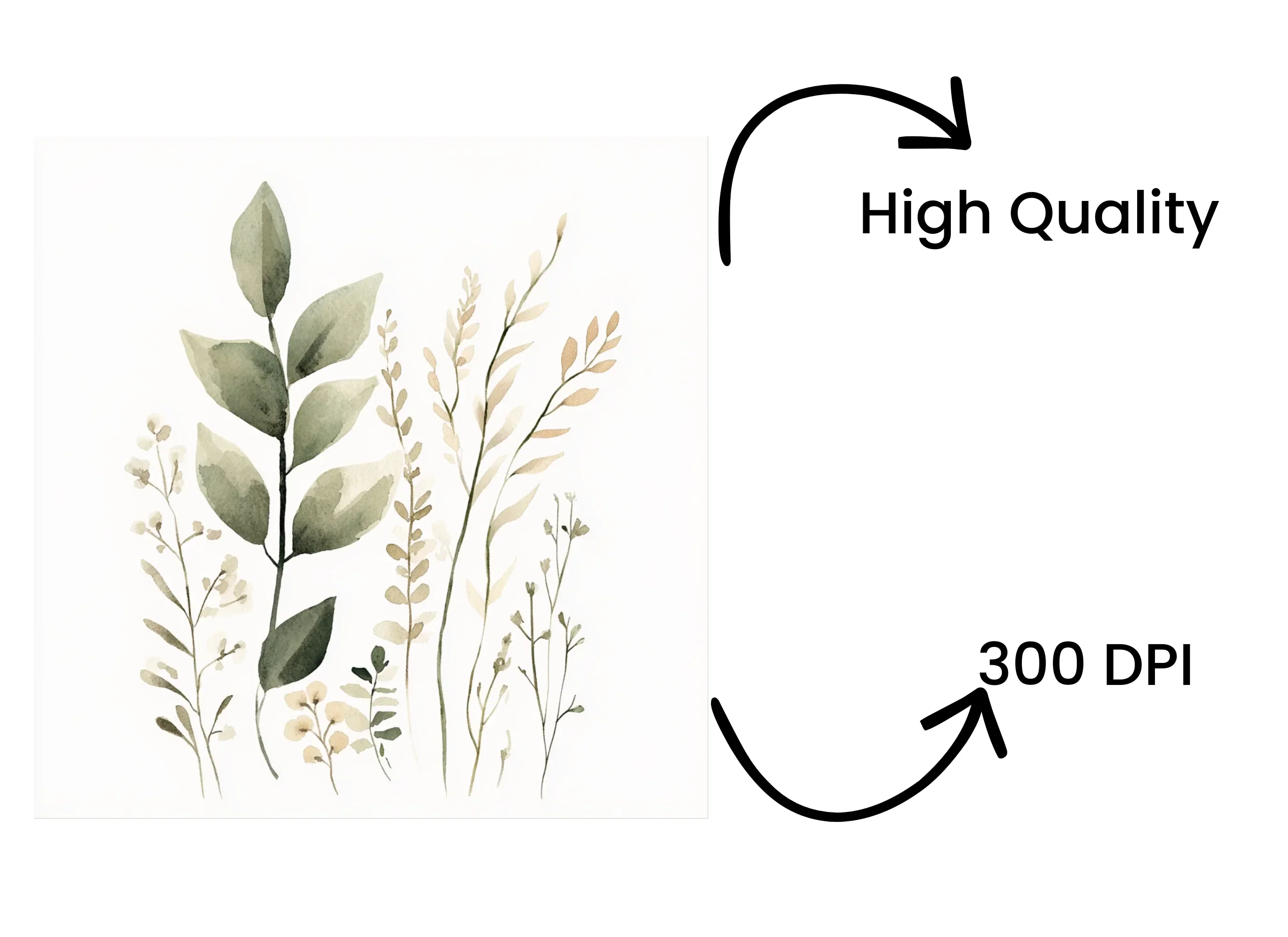 Botanical Clipart Bundle - Image 4