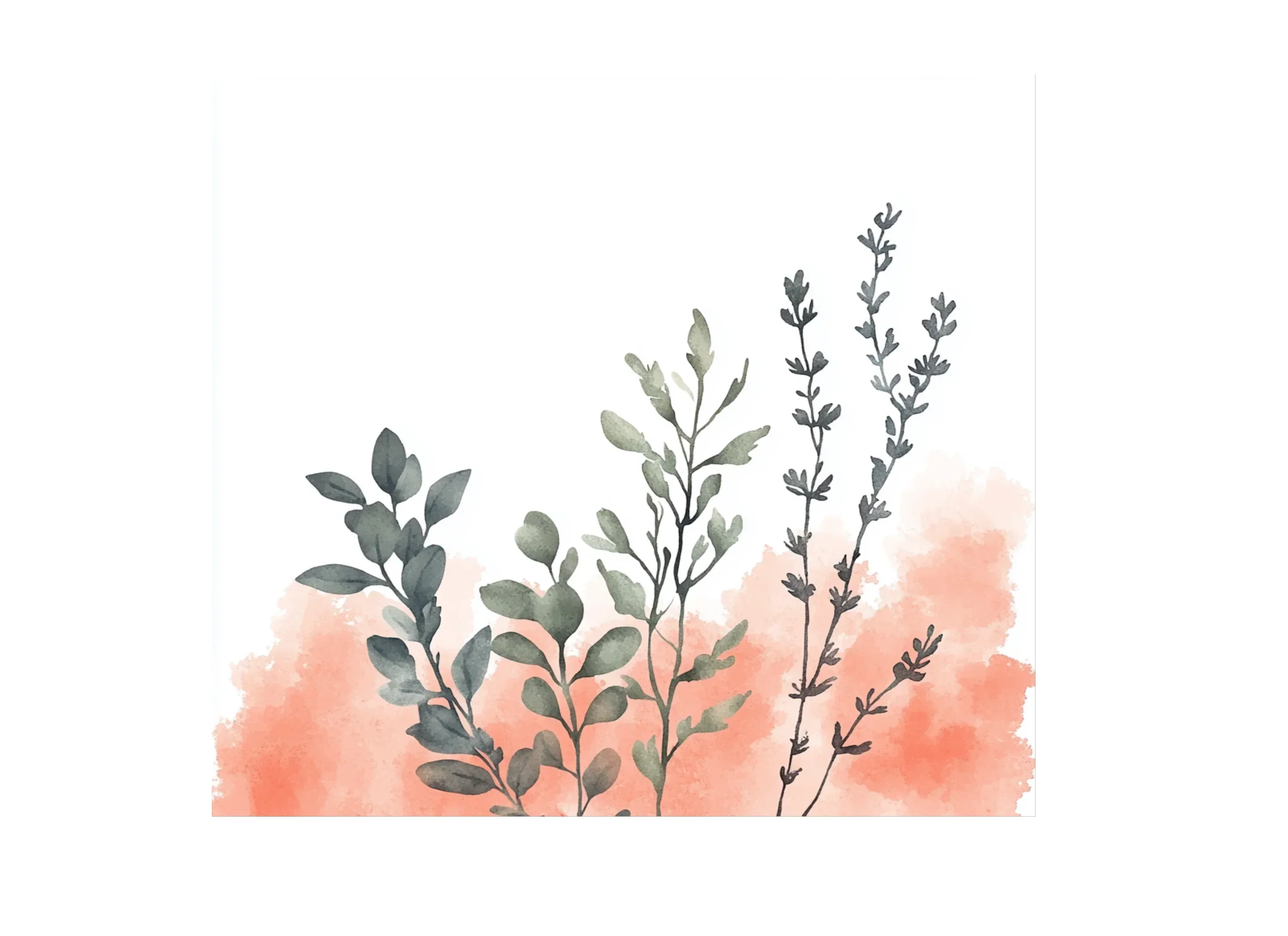 Botanical Clipart Bundle - Image 2