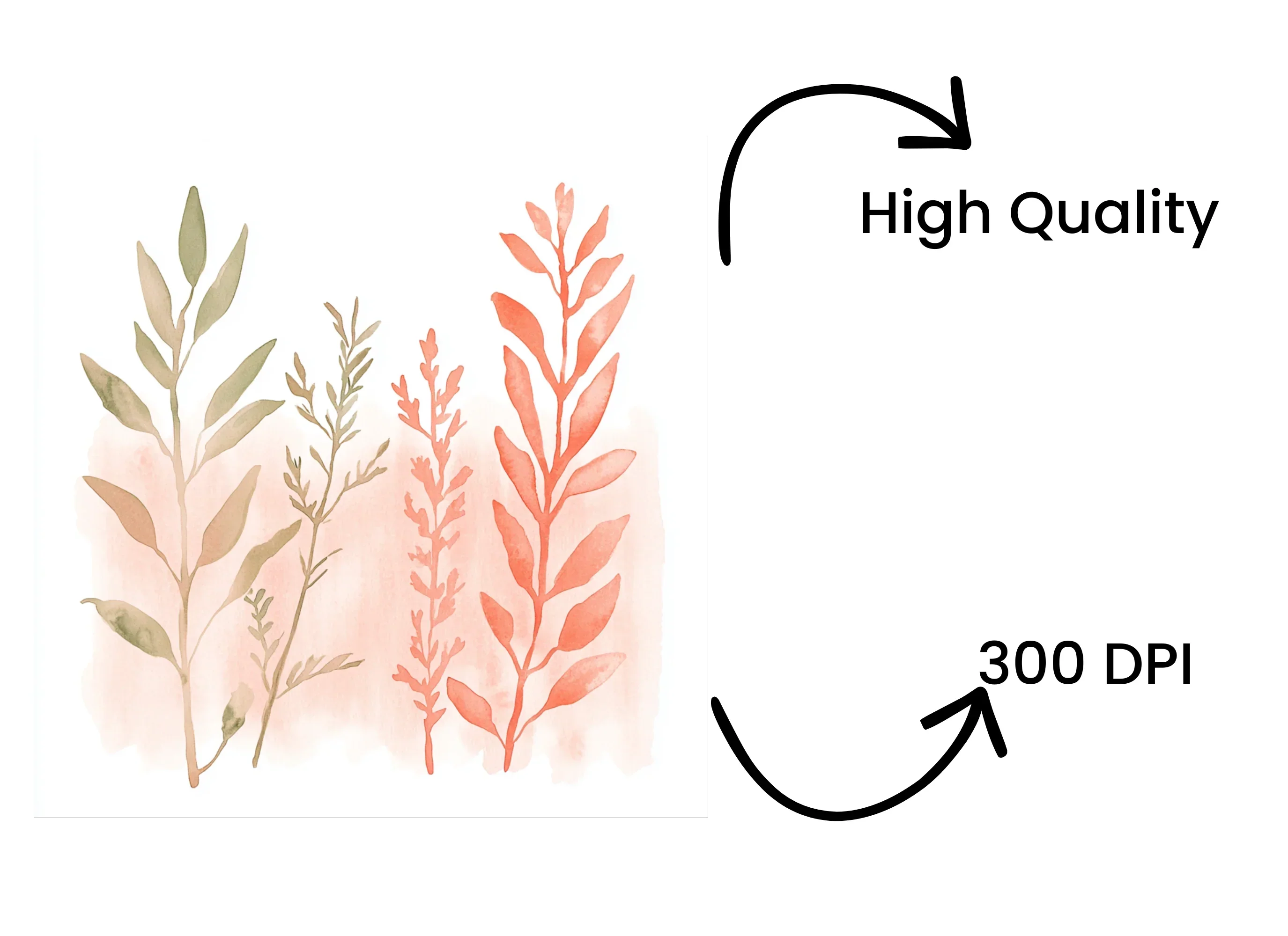 Botanical Clipart Bundle - Image 4