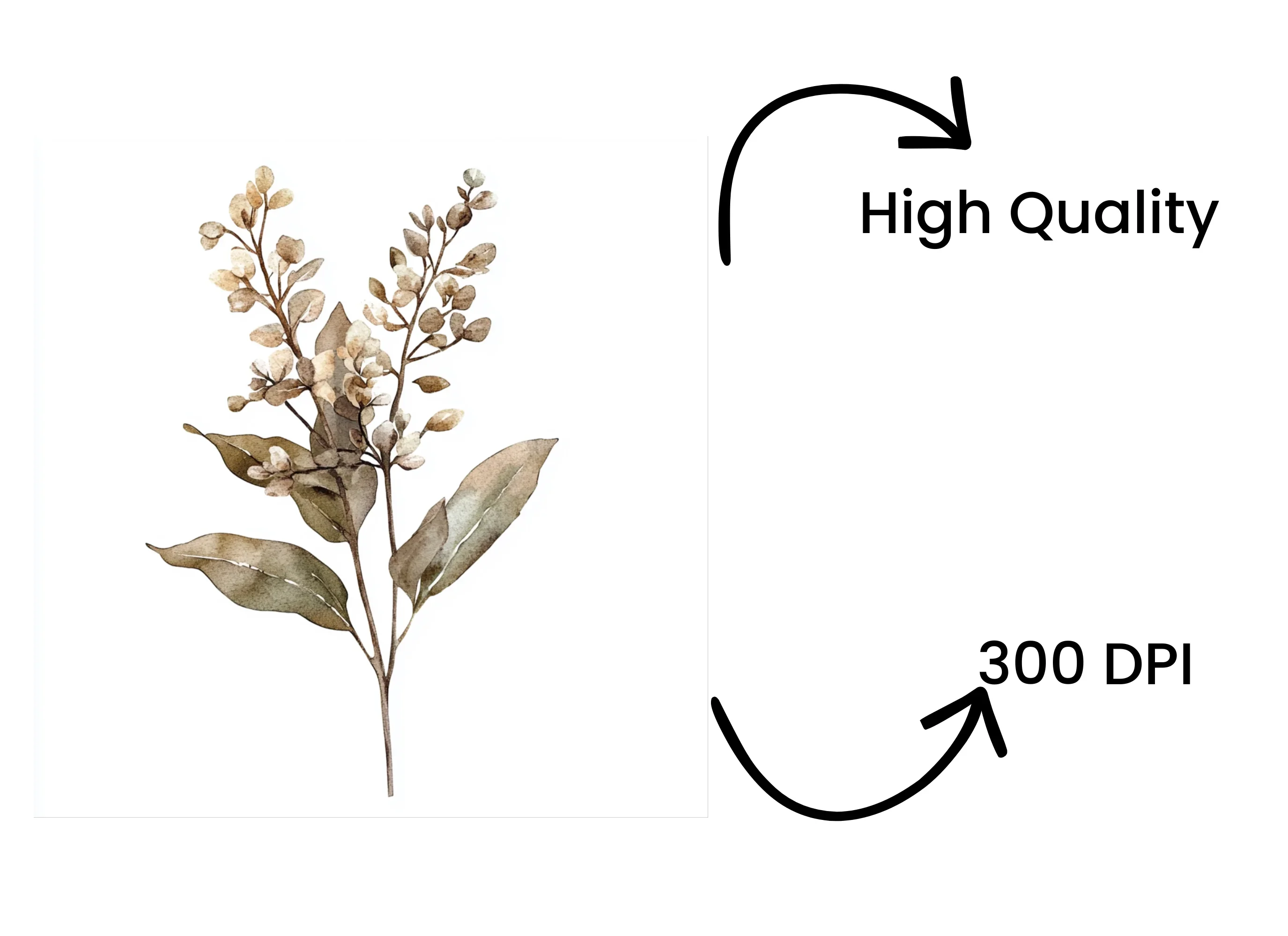 Botanical Clipart Bundle - Image 4