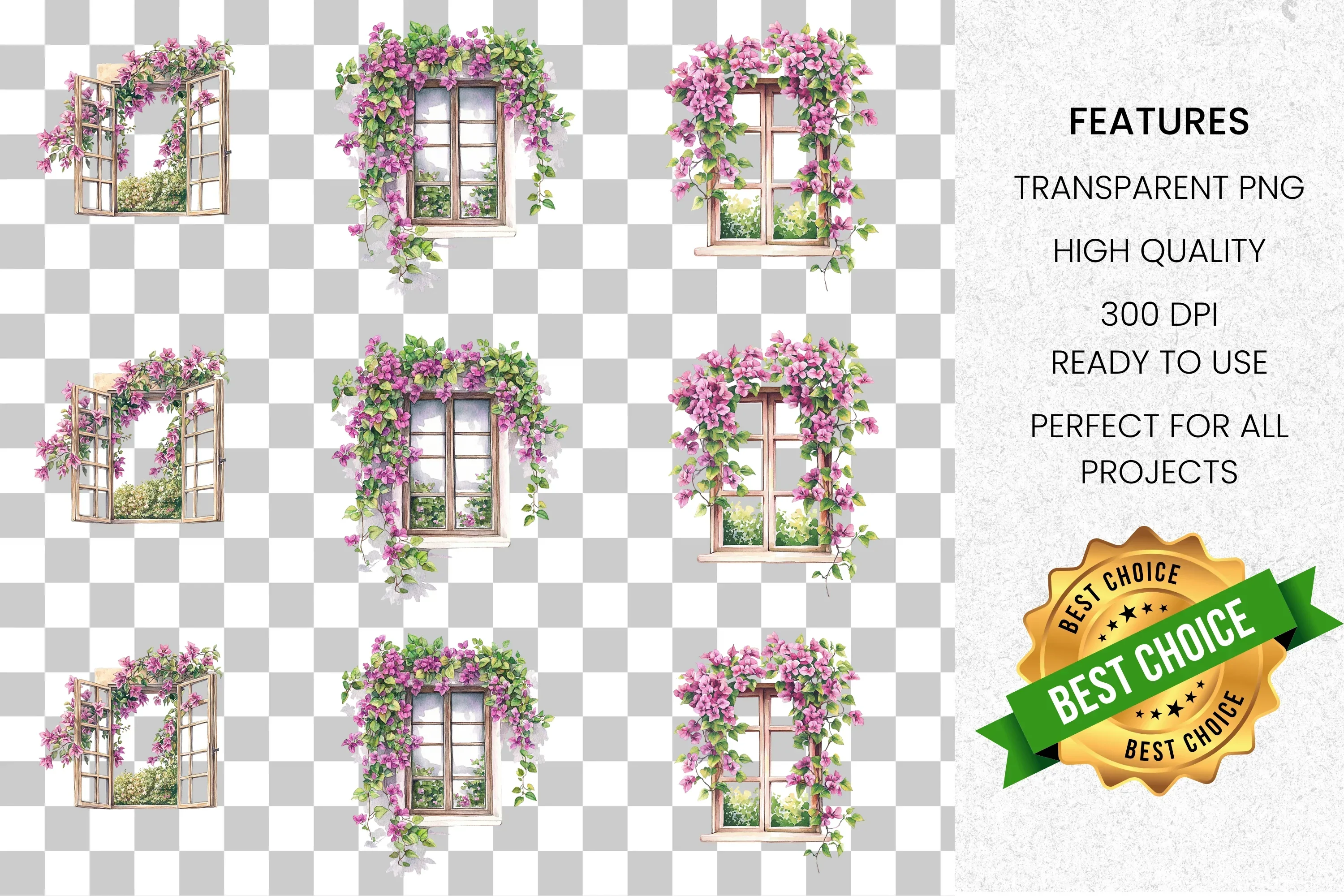 Bougainvillea Window Clipart Bundle - Image 8