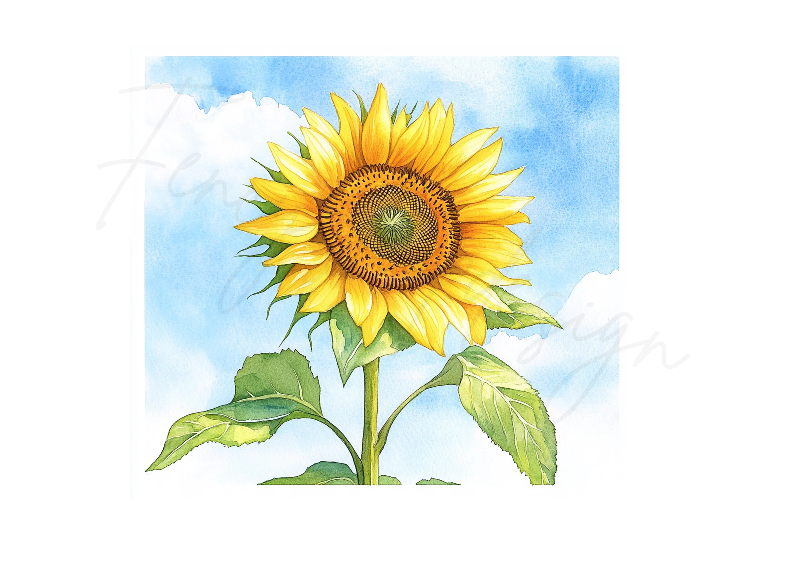Bright Sunflower Illustrations Clipart Bundle - Image 3