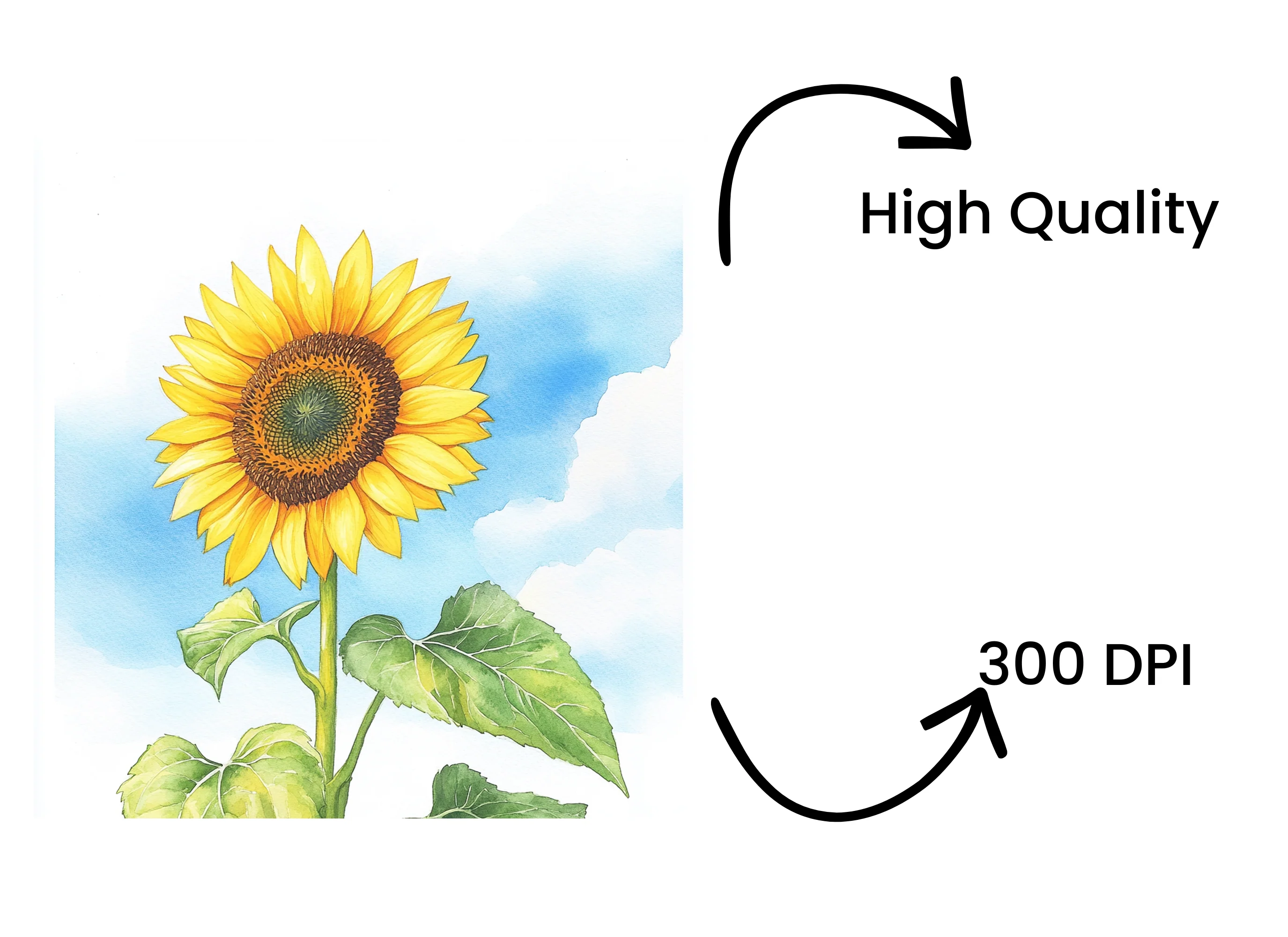 Bright Sunflower Illustrations Clipart Bundle - Image 4