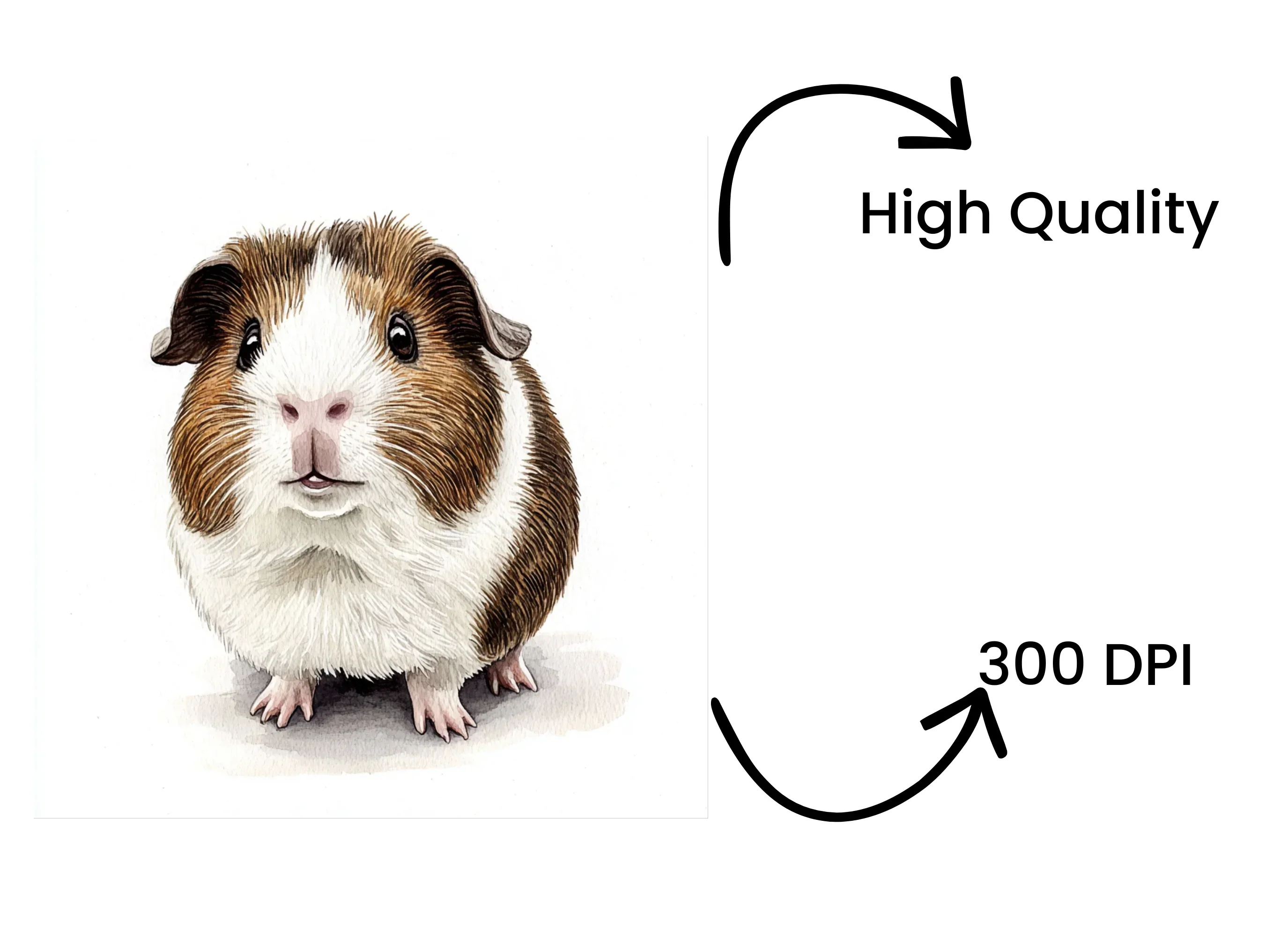 Brown and White Guinea Pig Clipart Bundle - Image 4