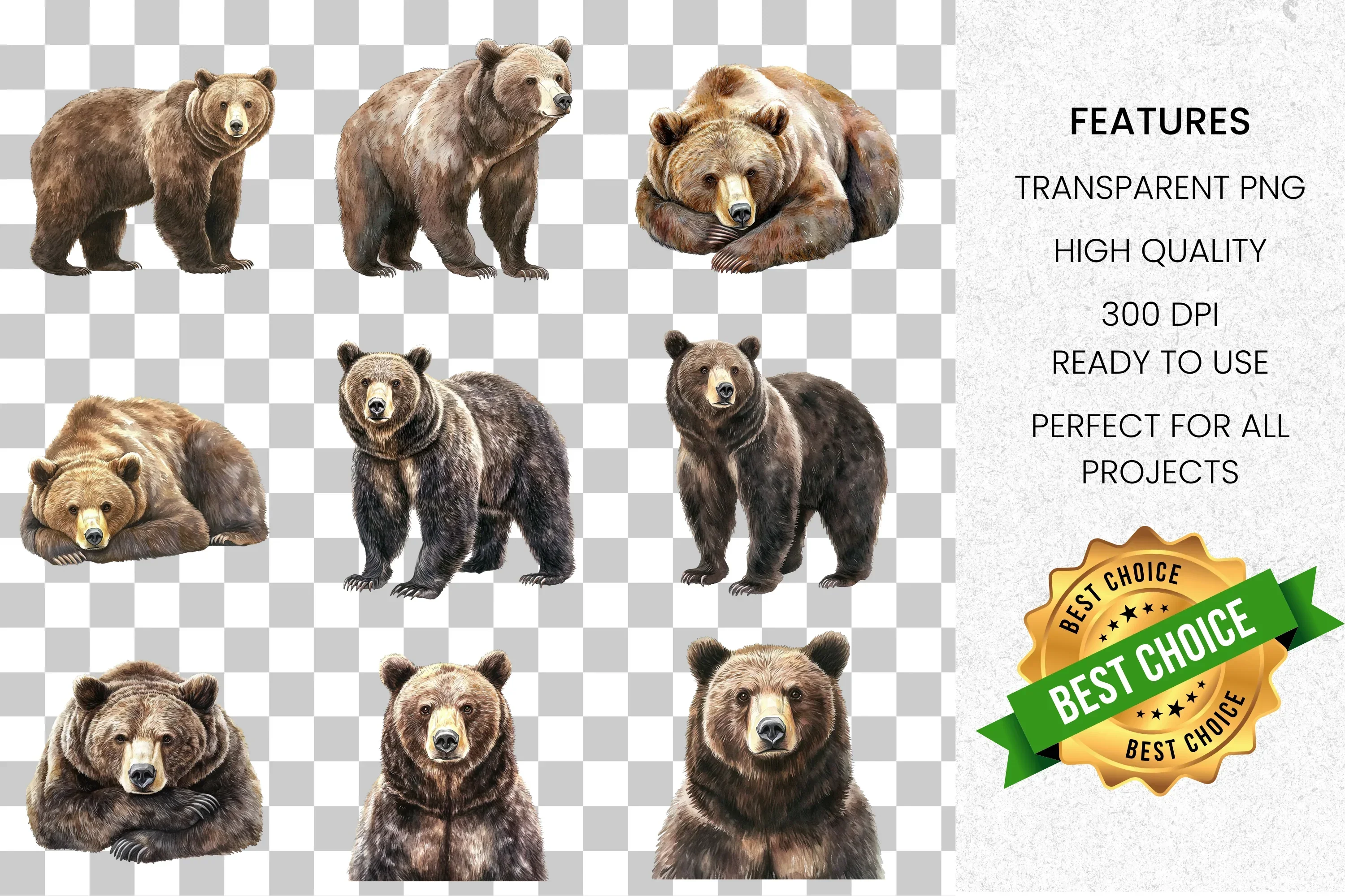 Brown Bear Clipart Bundle - Image 2