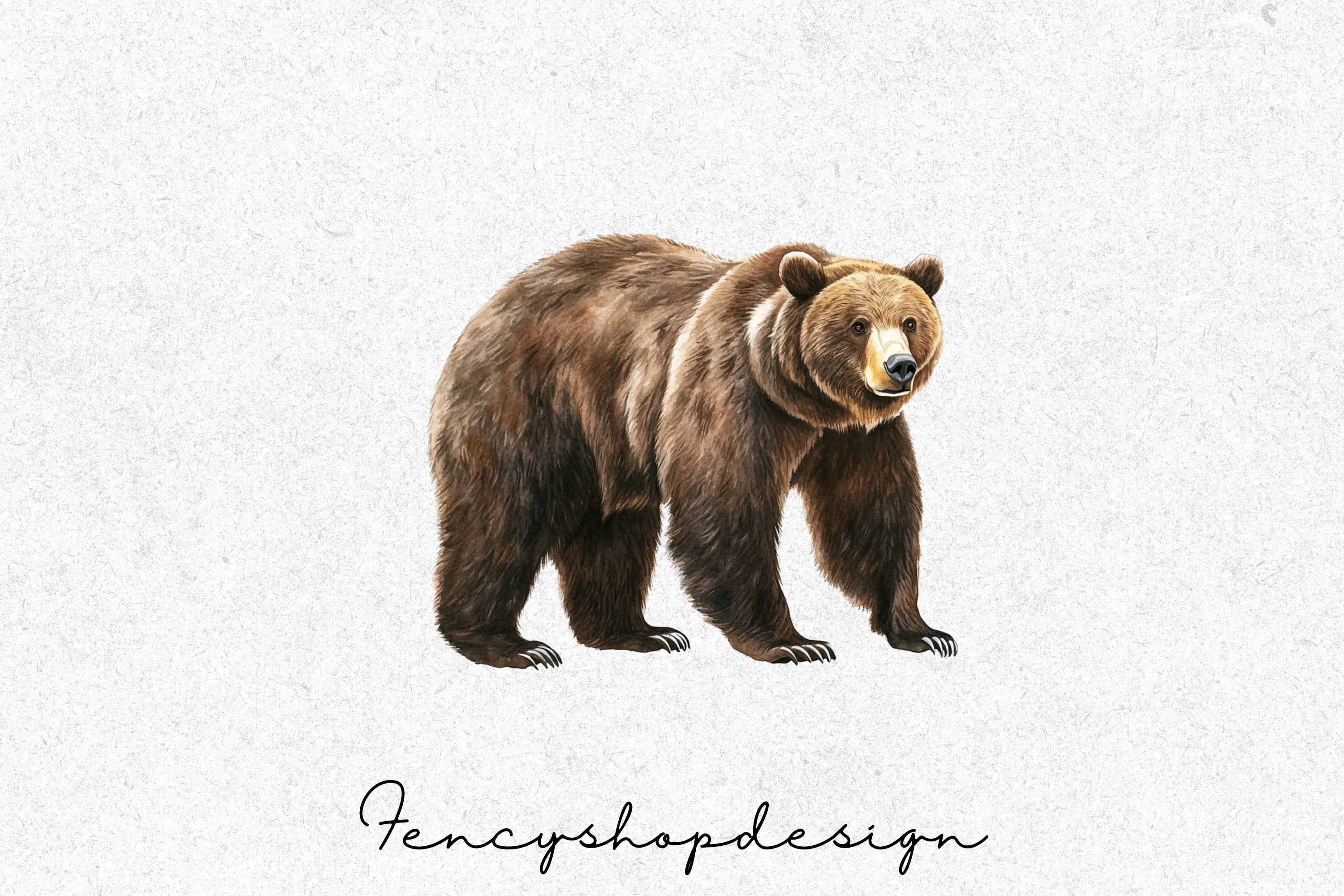 Brown Bear Clipart Bundle - Image 3