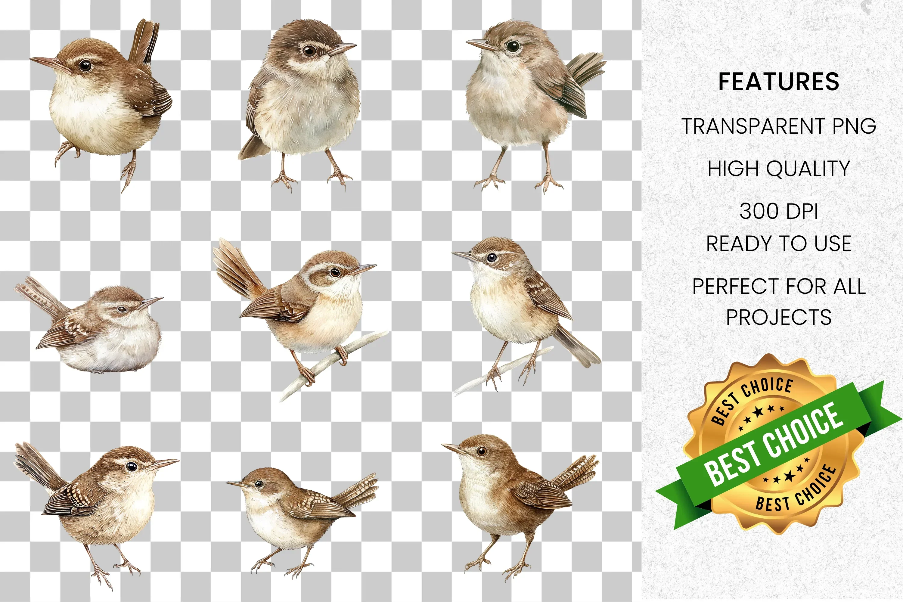 Brown Wren Bird Clipart Bundle - Image 2