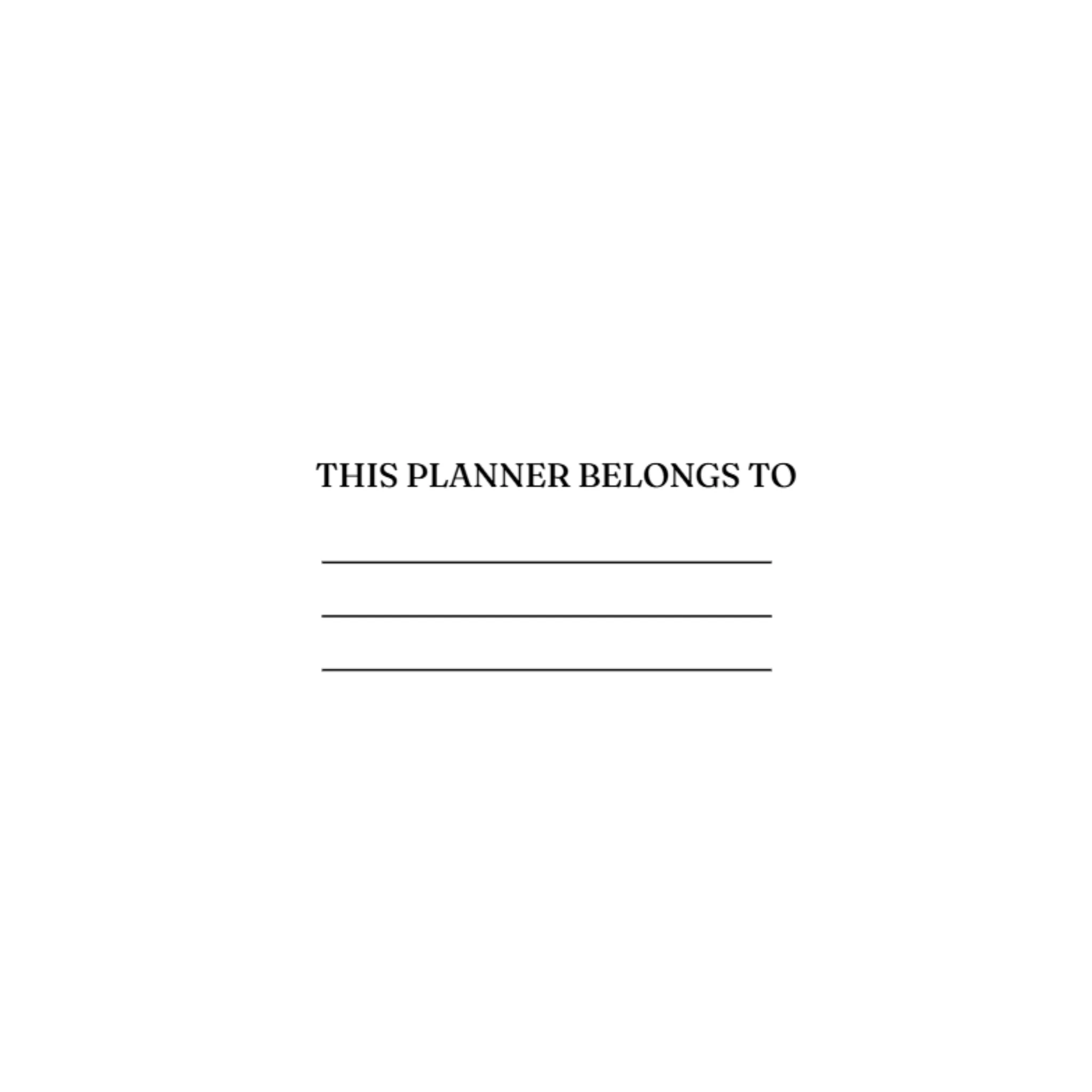 Budget Planner Bundle 12 - Image 2