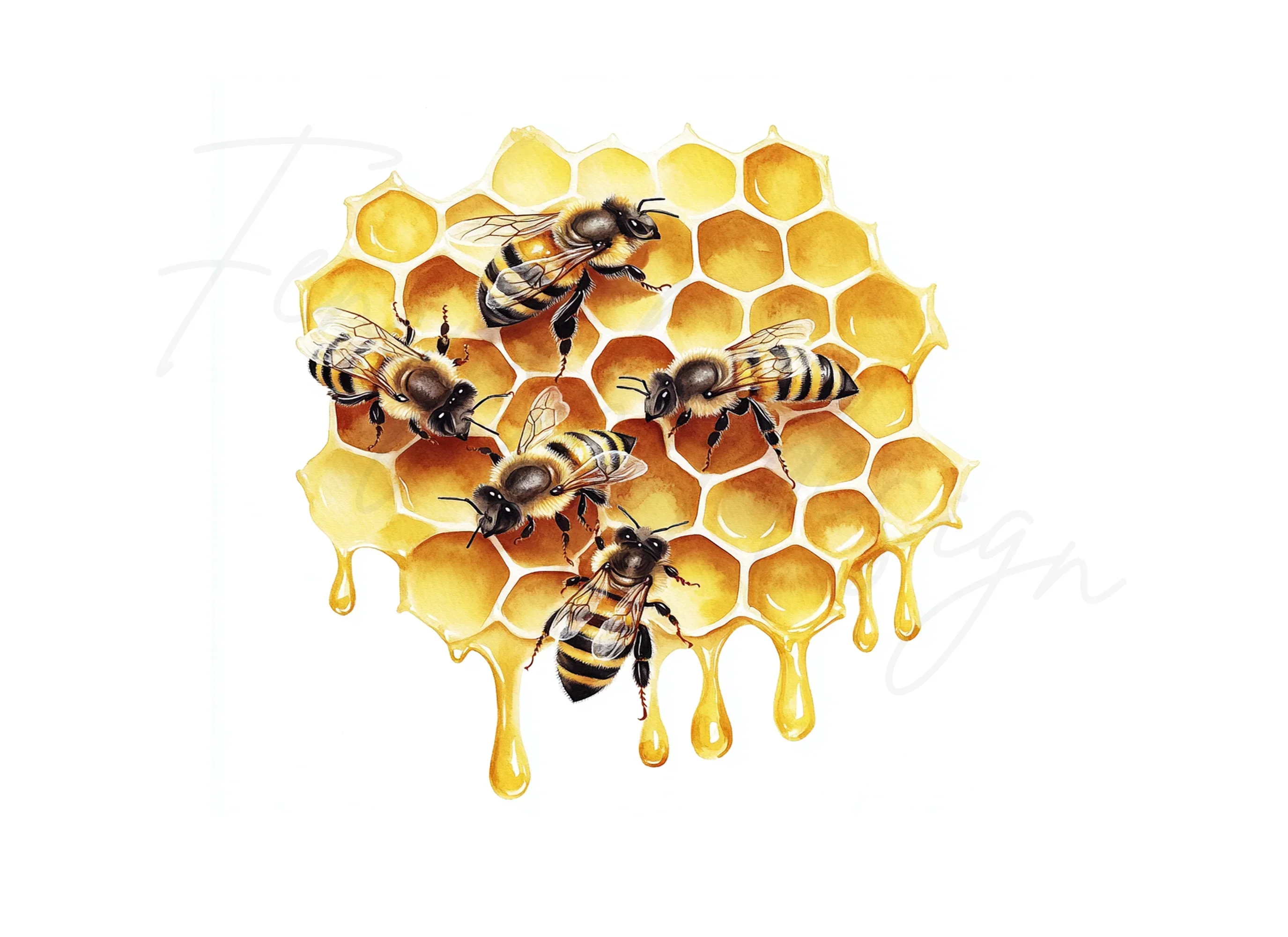 Busy Bees on Honeycomb Clipart Bundle - Image 3