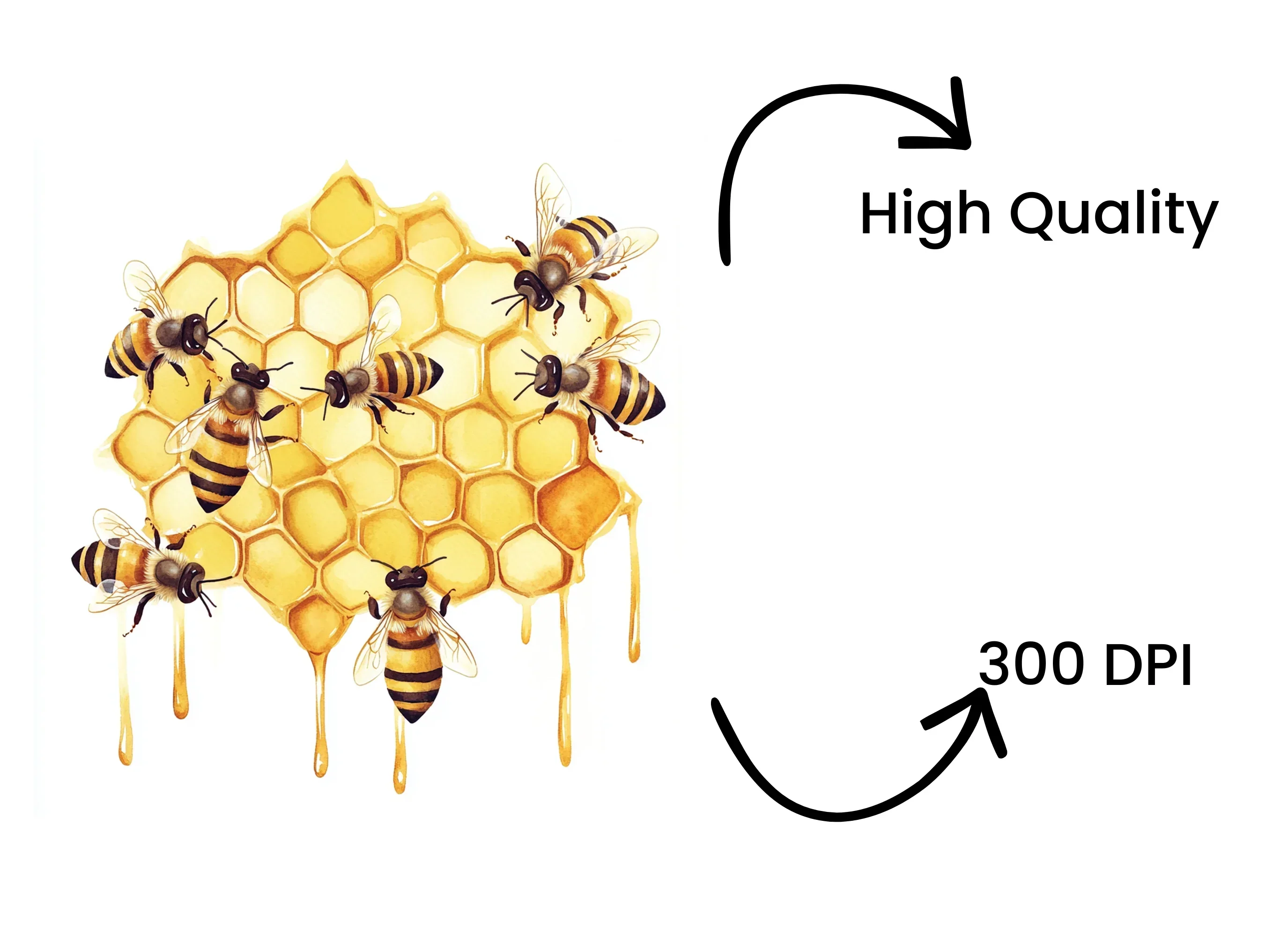 Busy Bees on Honeycomb Clipart Bundle - Image 4