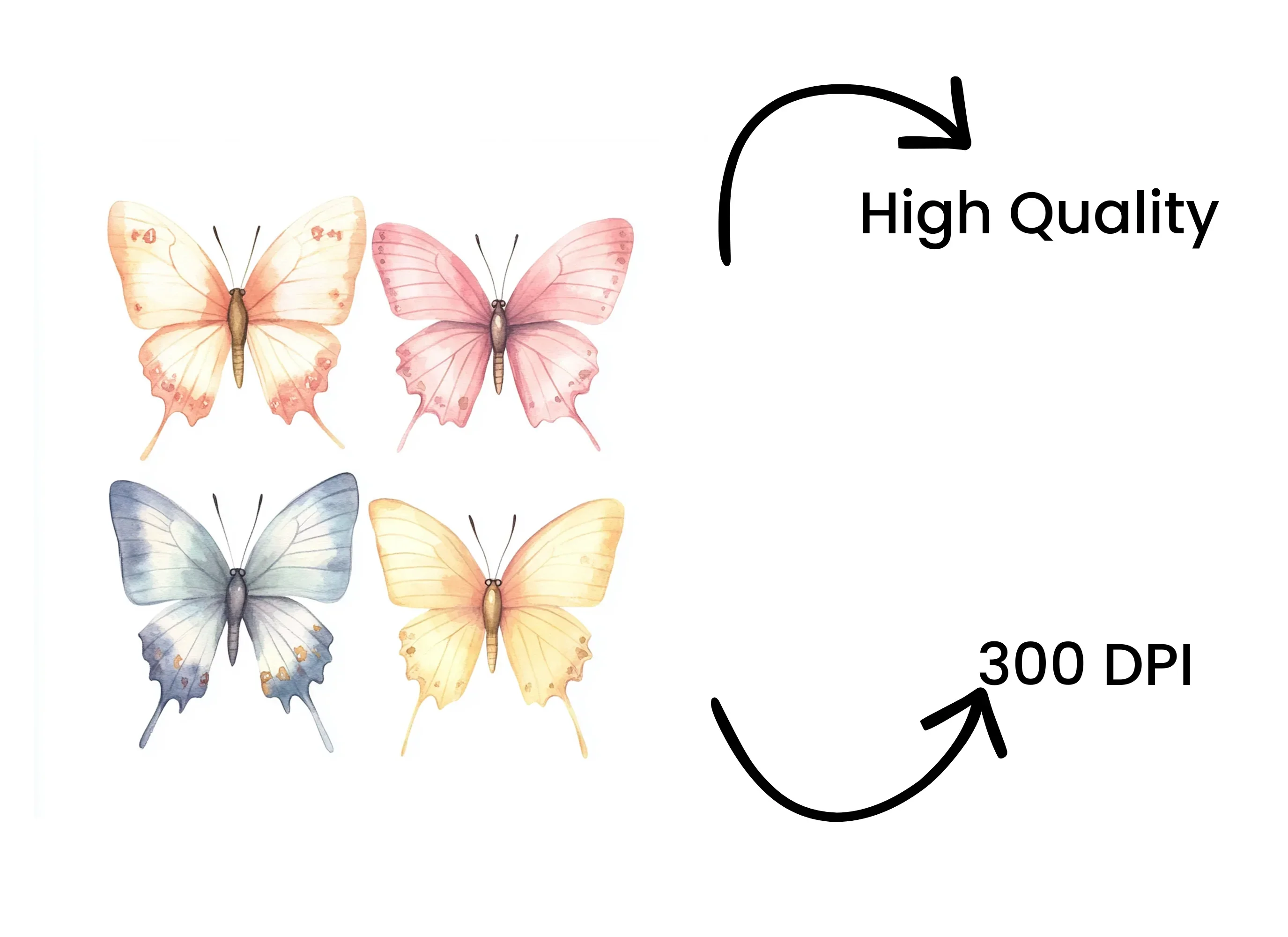Butterfly Clipart Bundle - Image 4