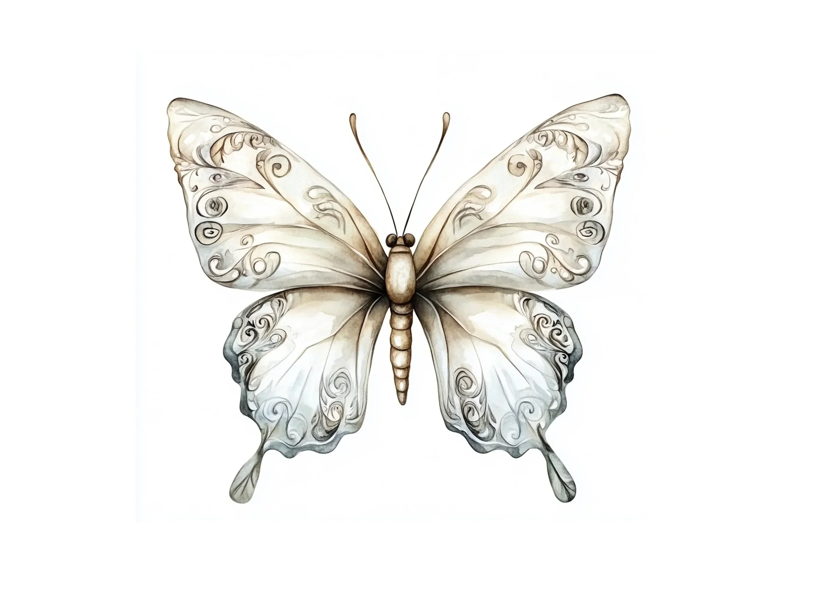 Butterfly Clipart Bundle - Image 2