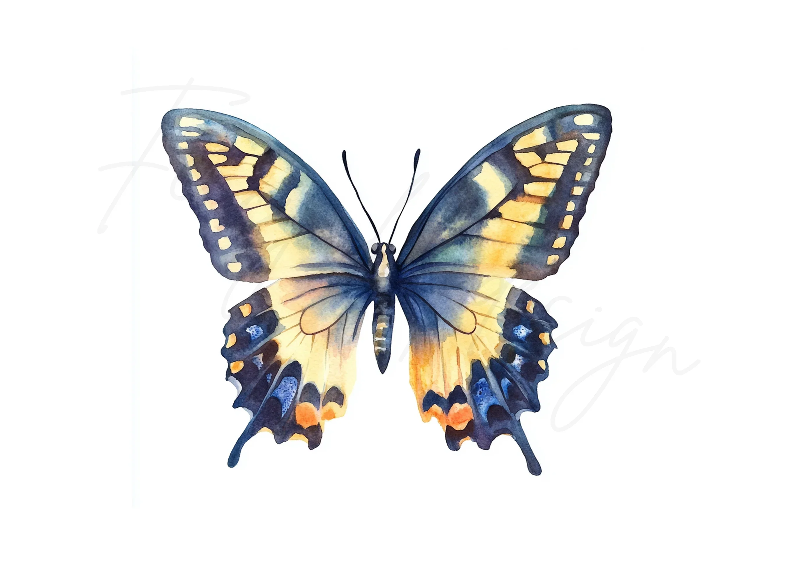 Butterfly Clipart Bundle - Image 3