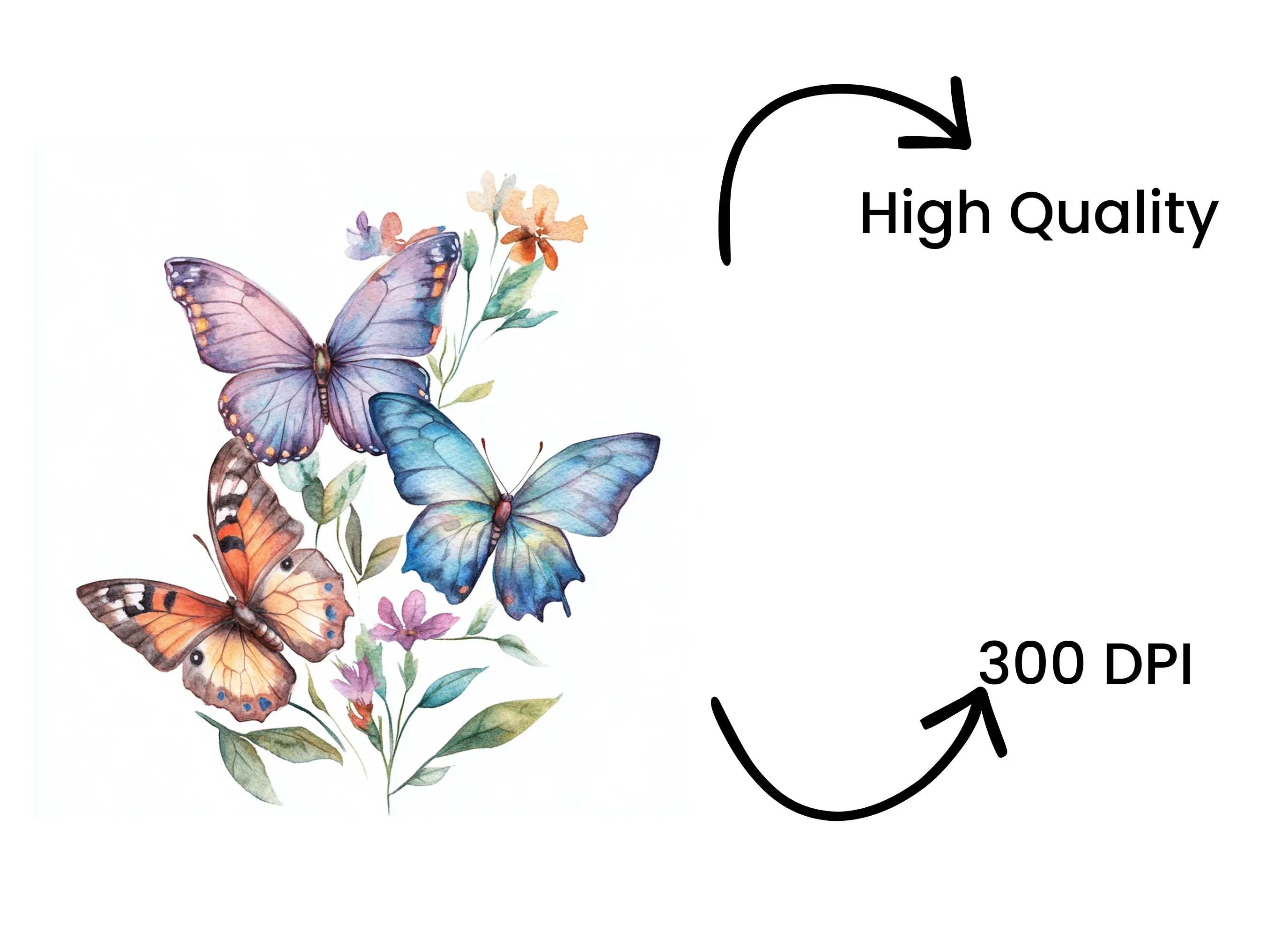 Butterfly Clipart Bundle - Image 4