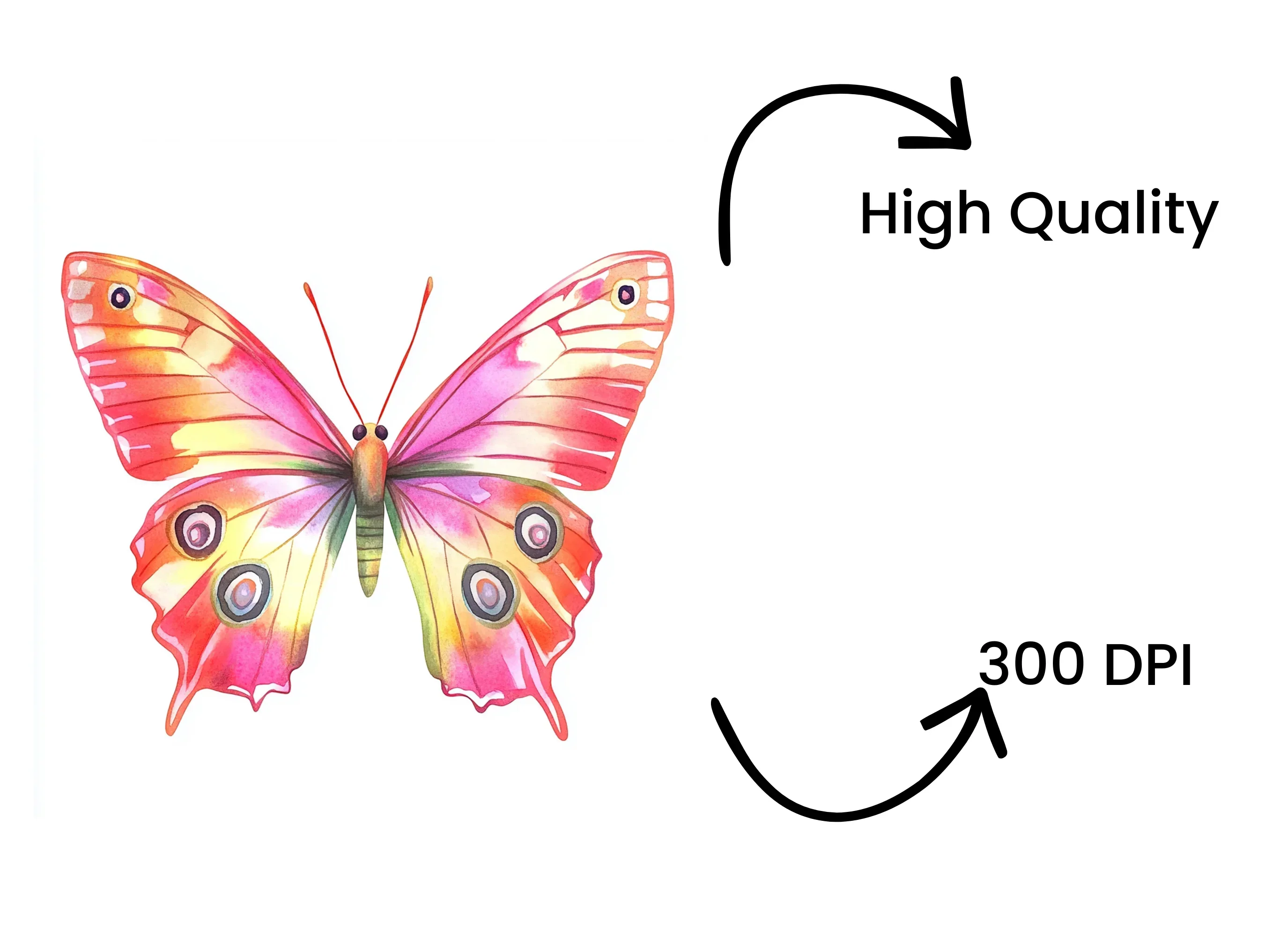 Butterfly Clipart Bundle - Image 4