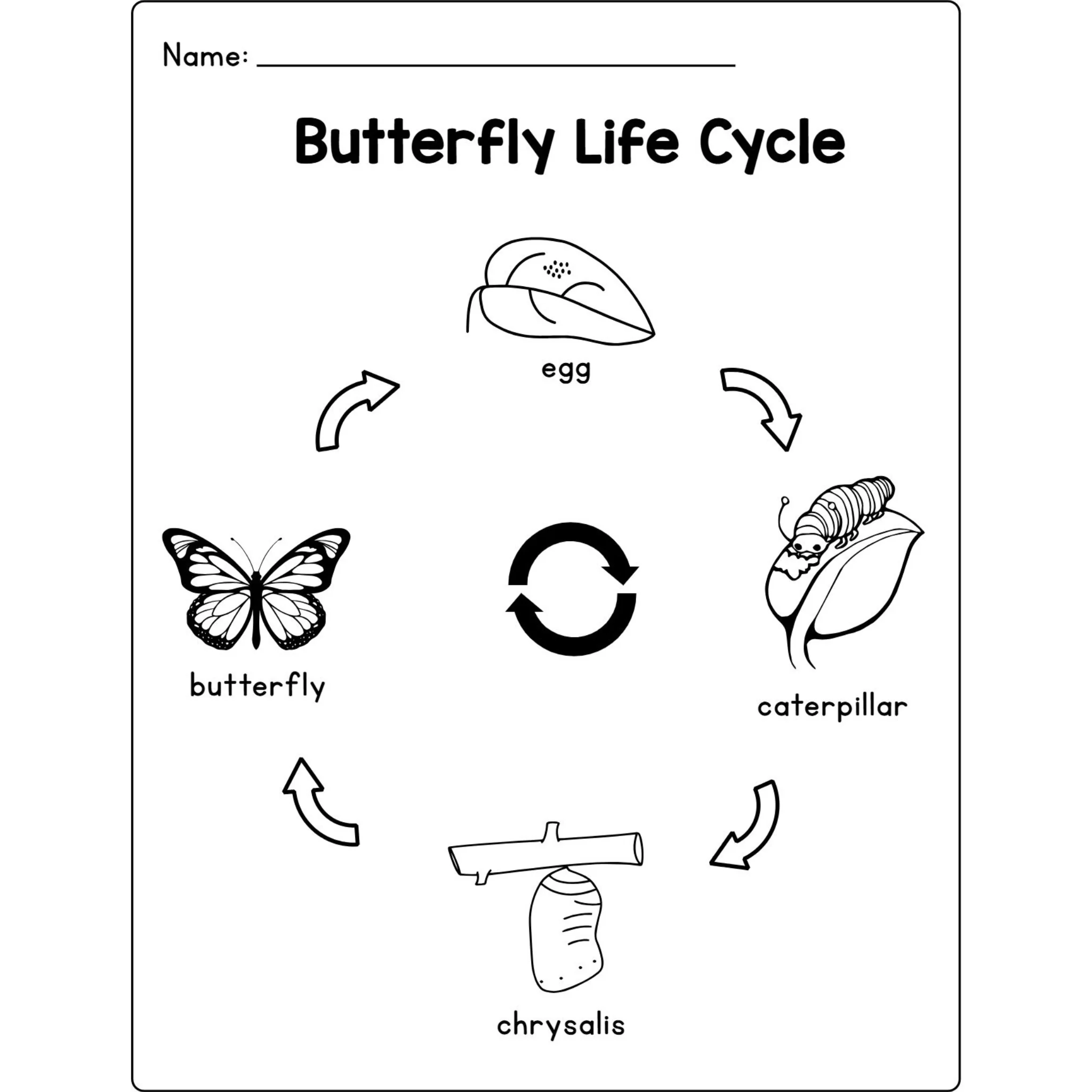 Butterfly Life Cycle Craft Research Activities - Image 2
