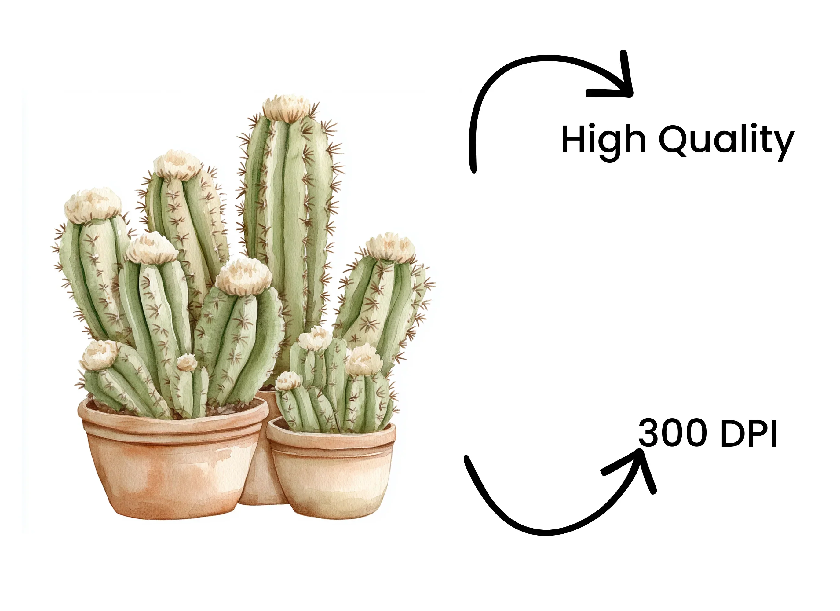 Cactus Clipart Bundle - Image 3