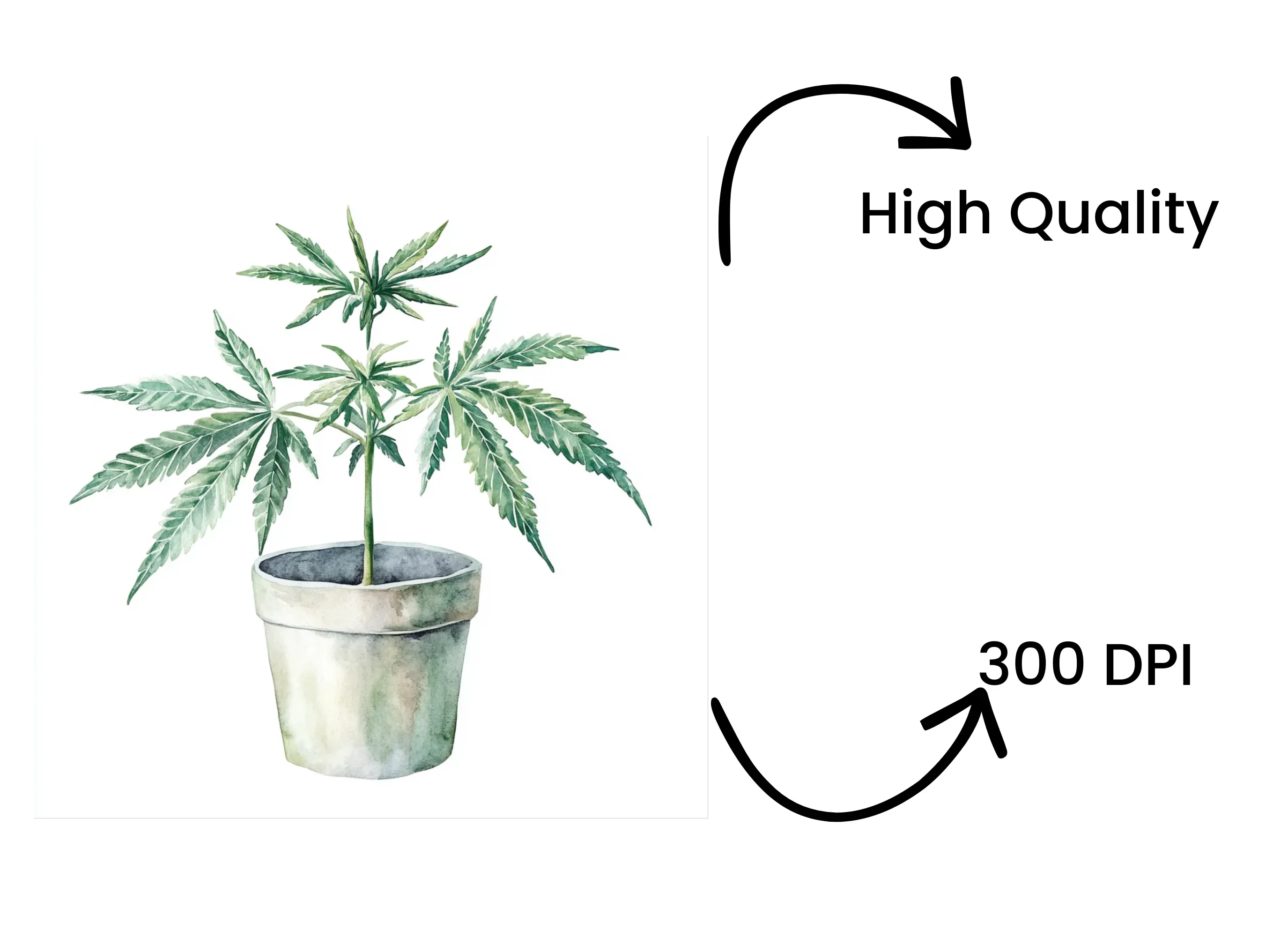 Cannabis Plant Clipart Bundle - Image 4
